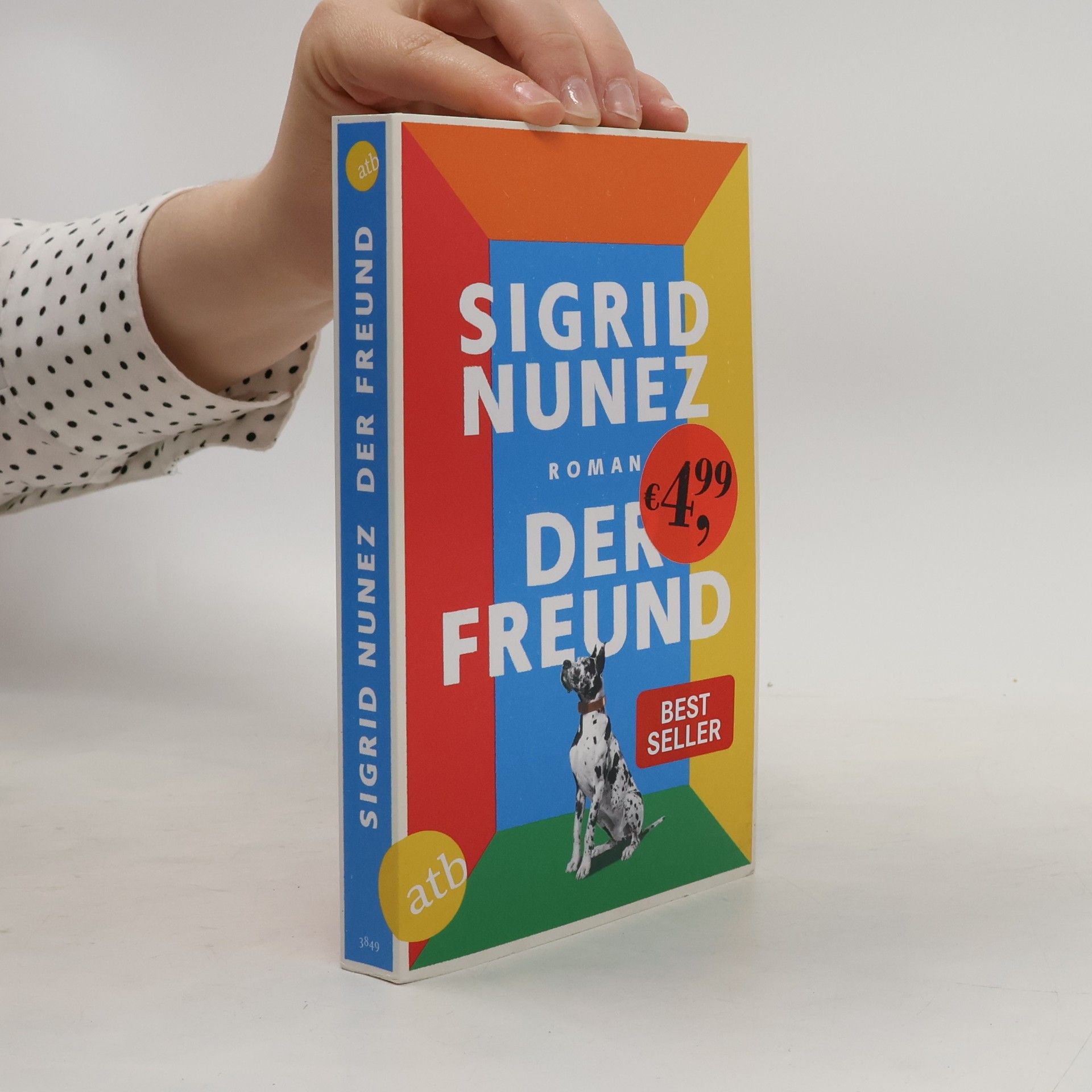 Sigrid Nunez Der Freund