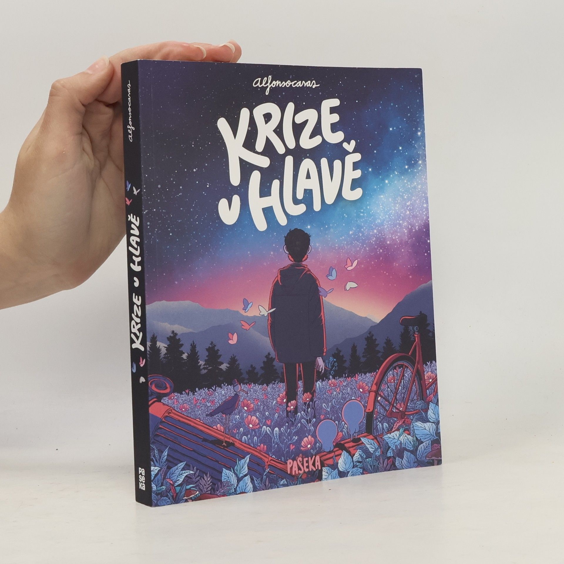 Krize v hlavě