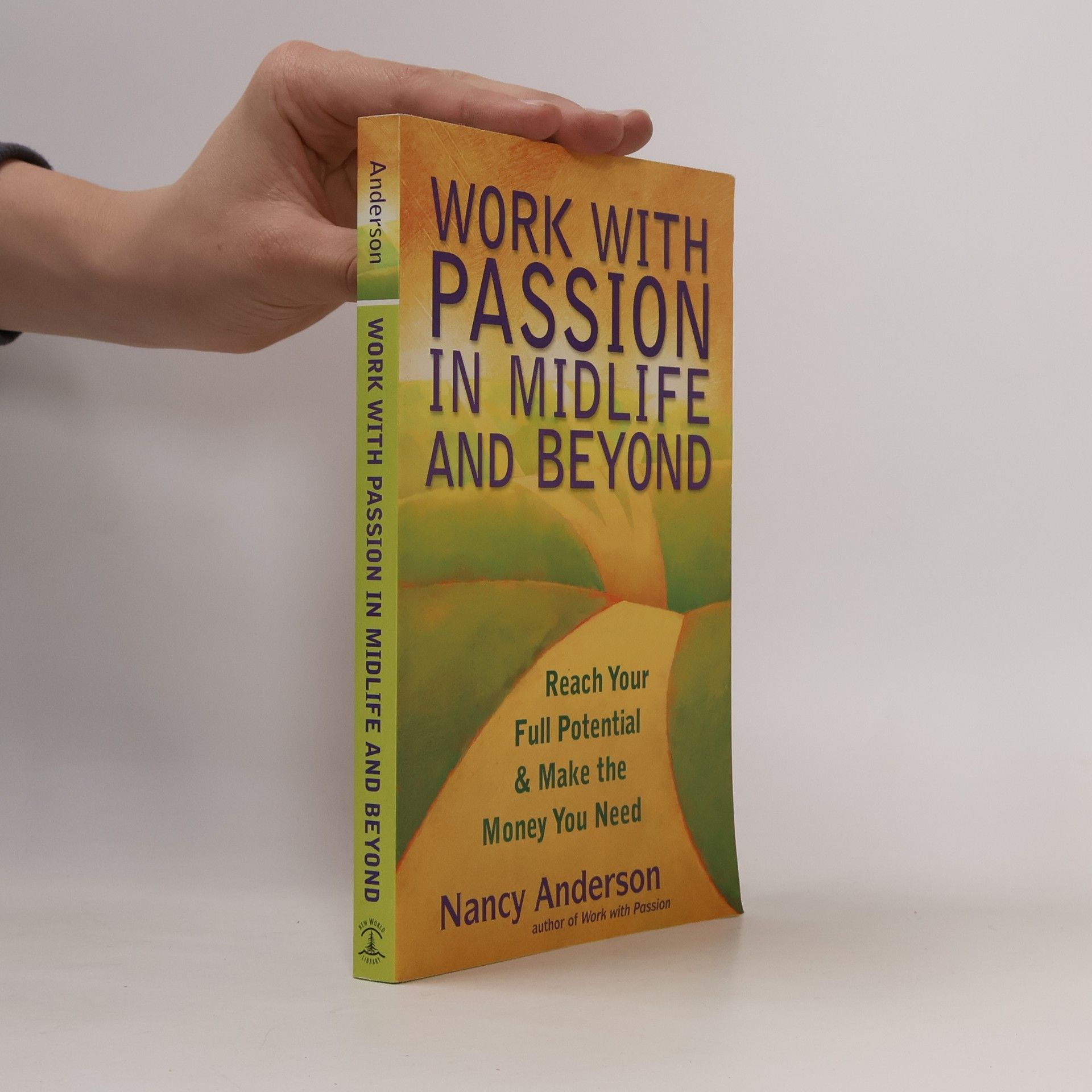 Nancy Anderson Work with Passion in Midlife and Beyond