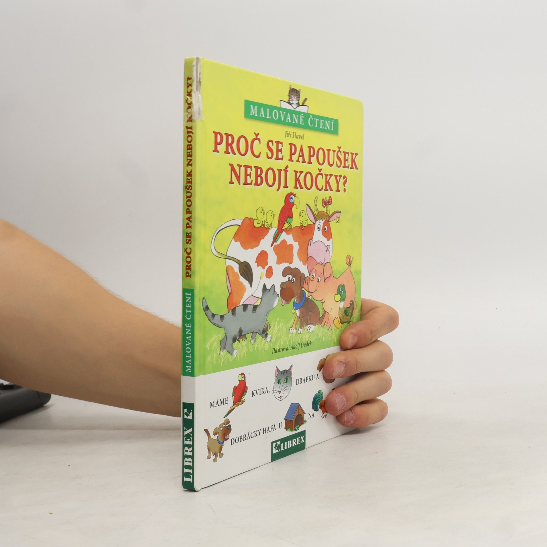 Proč se papoušek nebojí kočky?