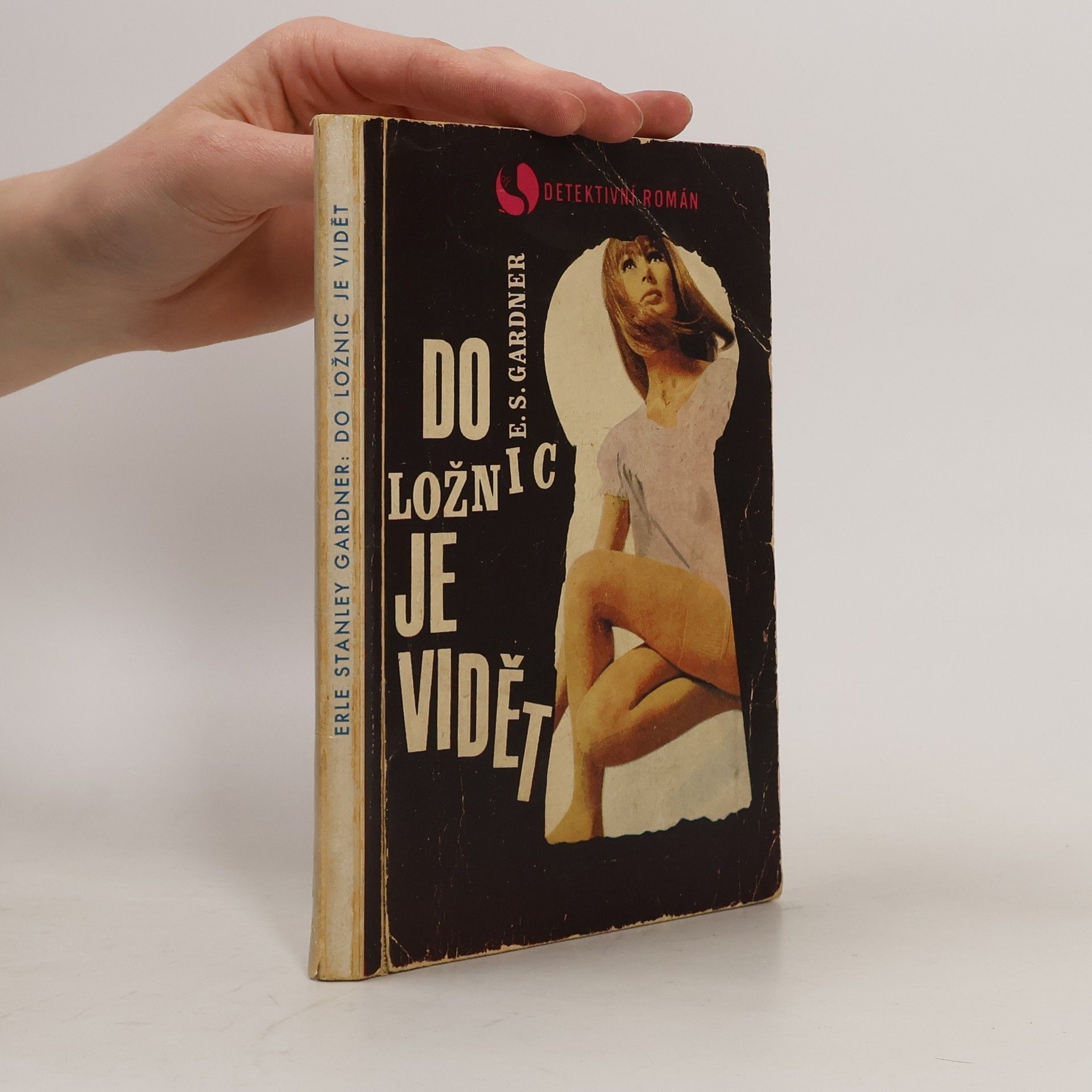 Erle Stanley Gardner Do ložnic je vidět