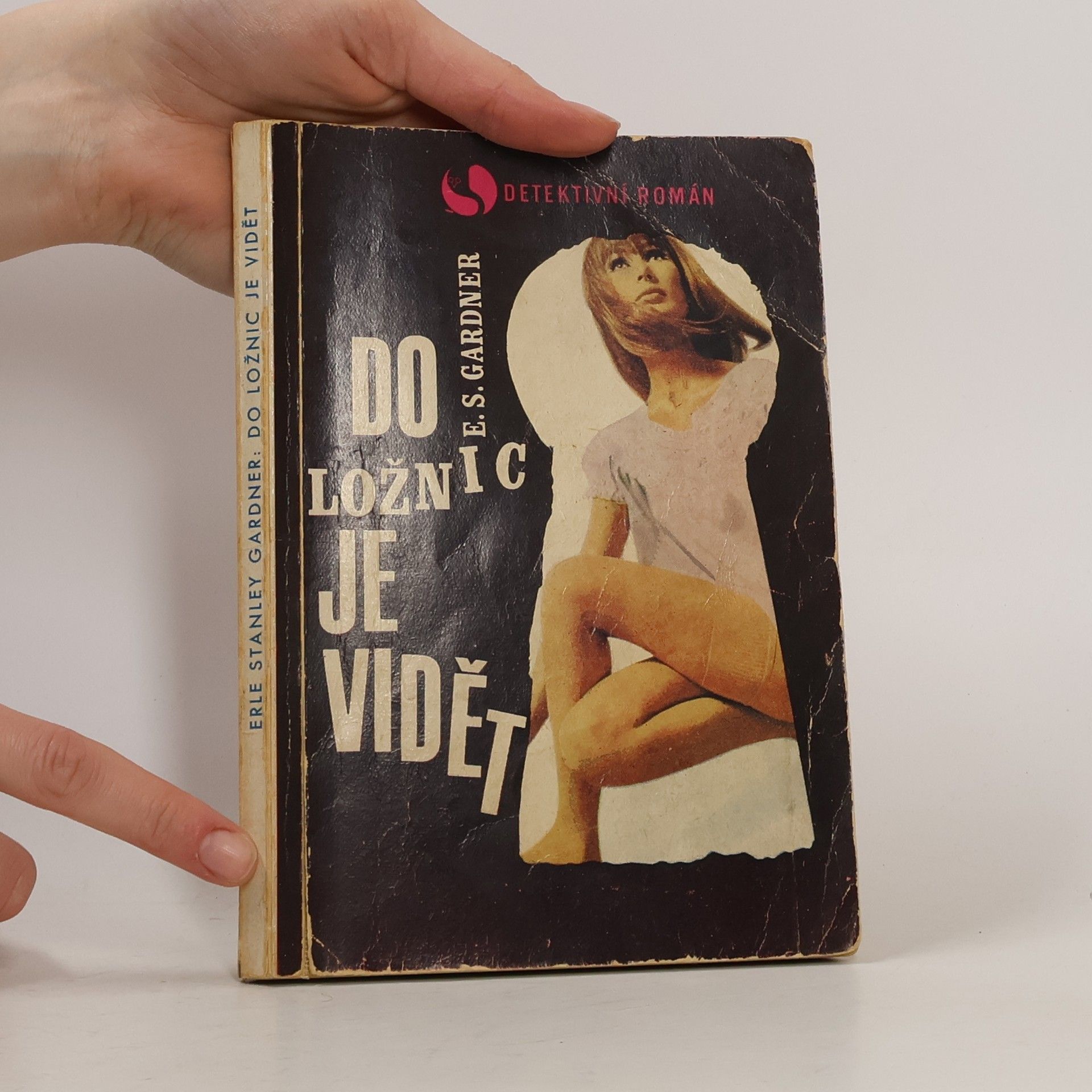 Erle Stanley Gardner Do ložnic je vidět