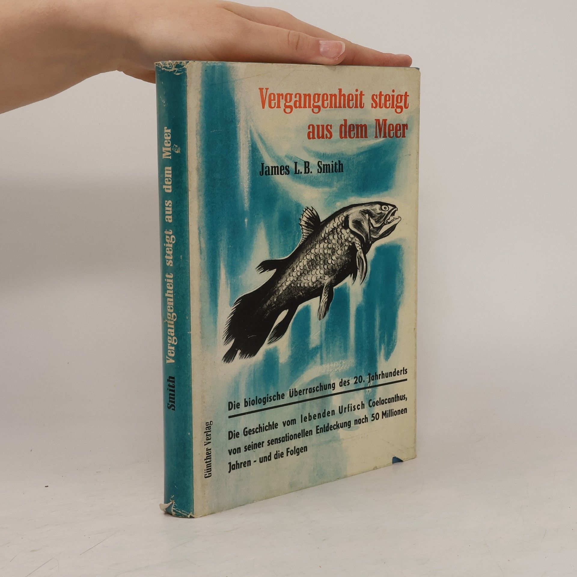 James L. B. Smith Vergangenheit steigt aus dem Meer