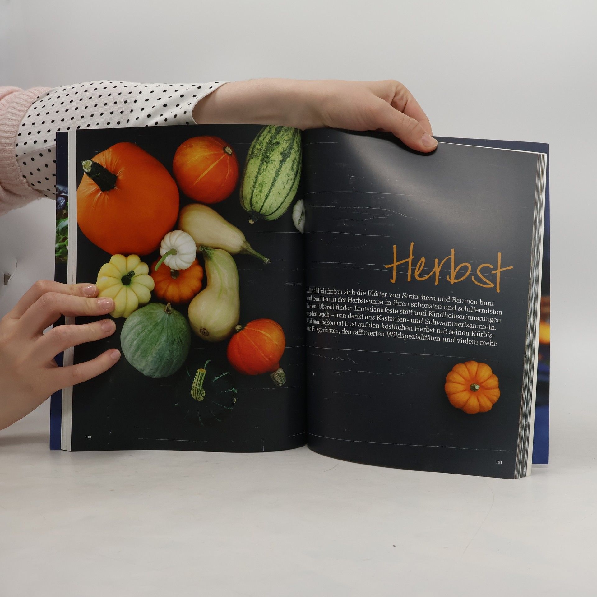 Kolektiv autorů Frisch gekocht. Das Kochbuch