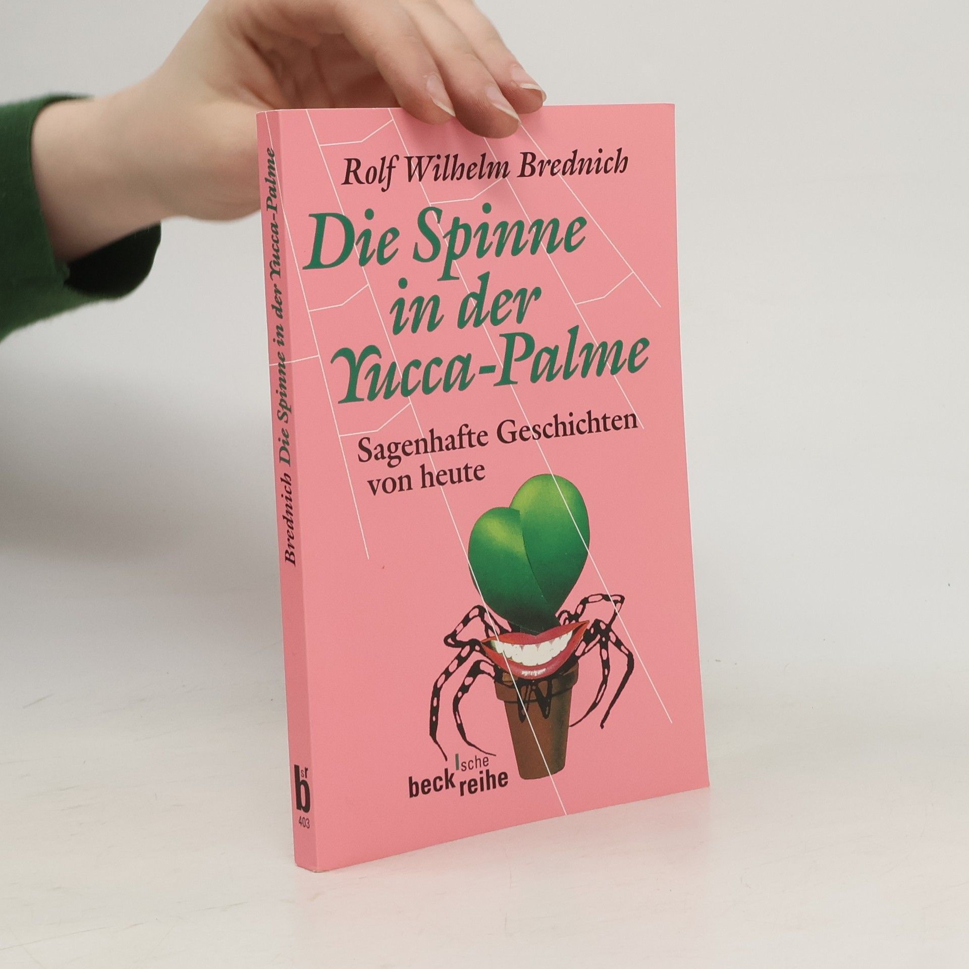 Die Spinne in der Yucca-Palme