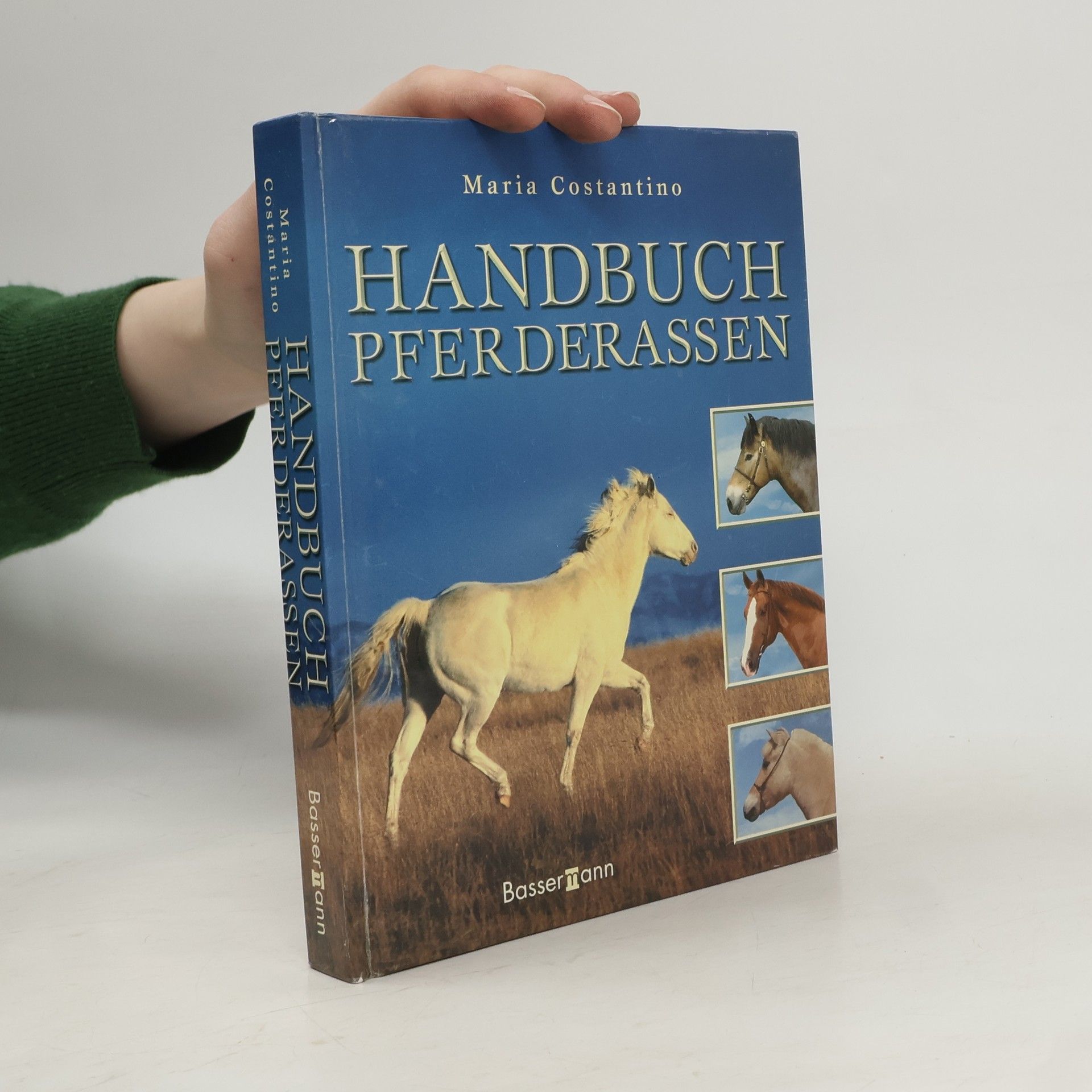Maria Constantino Handbuch Pferderassen