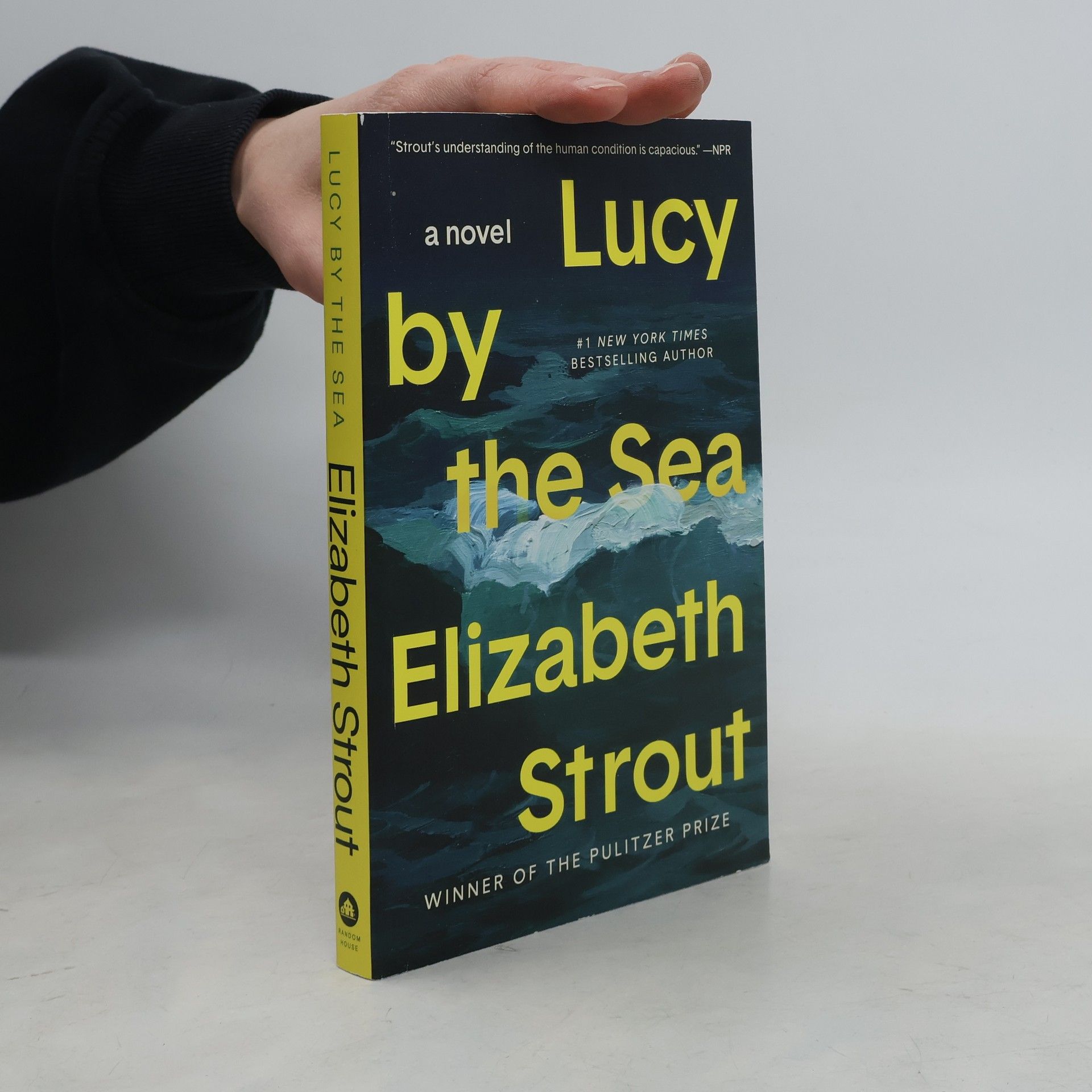 Elizabeth Strout Lucy by the Sea