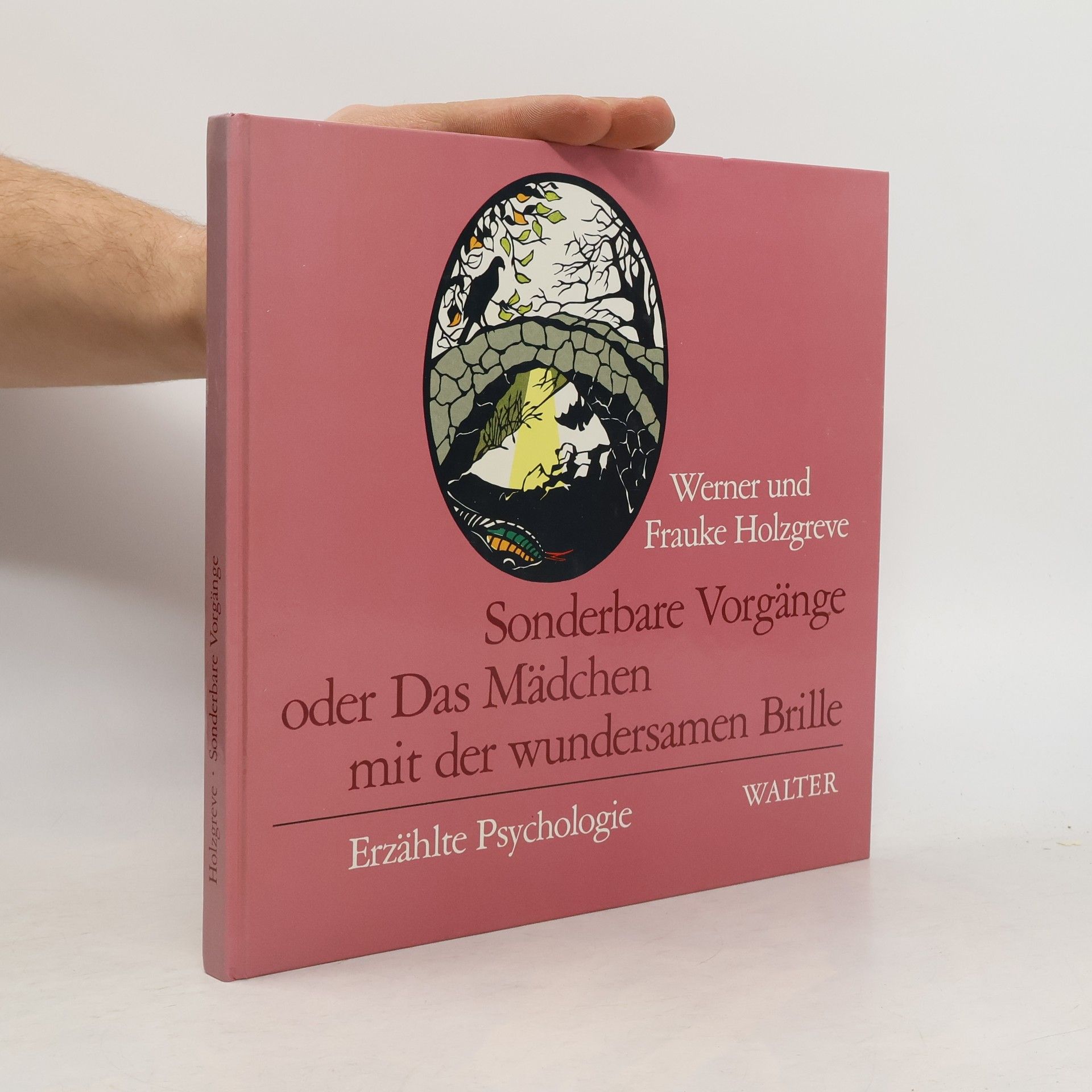Frauke Holzgreve Sonderbare Vorgänge, oder, Das Mädchen mit der wundersamen Brille