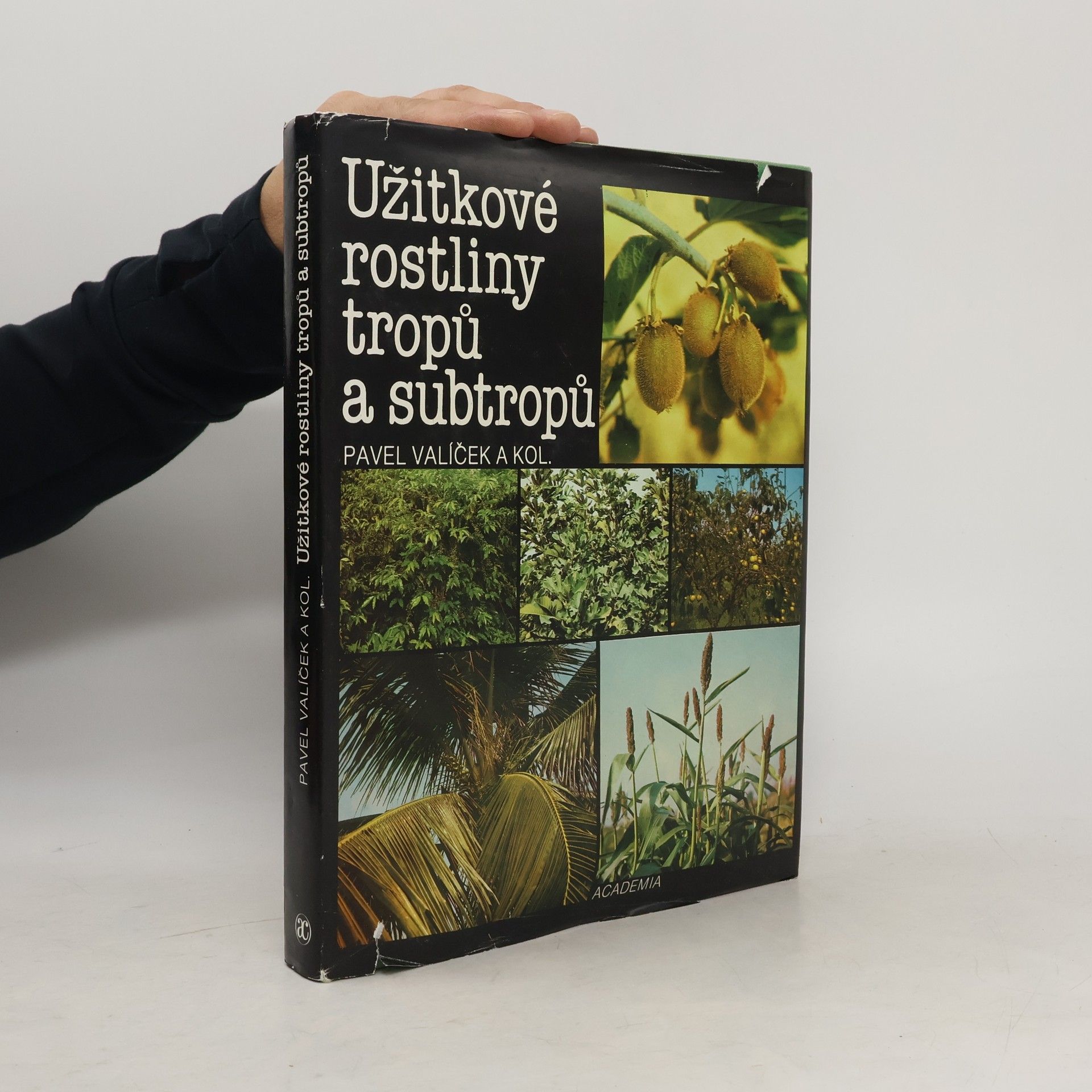 Pavel Valíček Užitkové rostliny tropů a subtropů