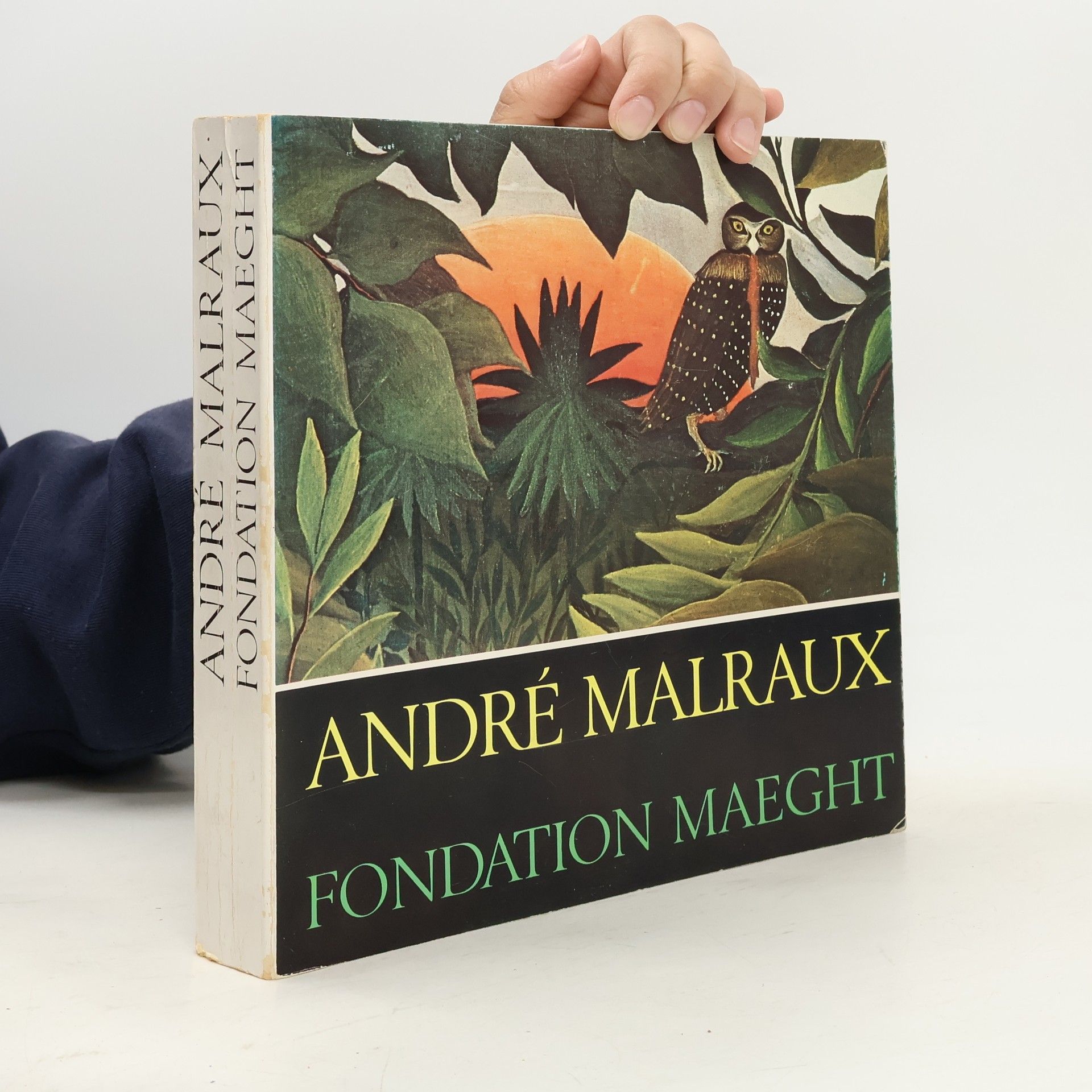 Fondation Maeght