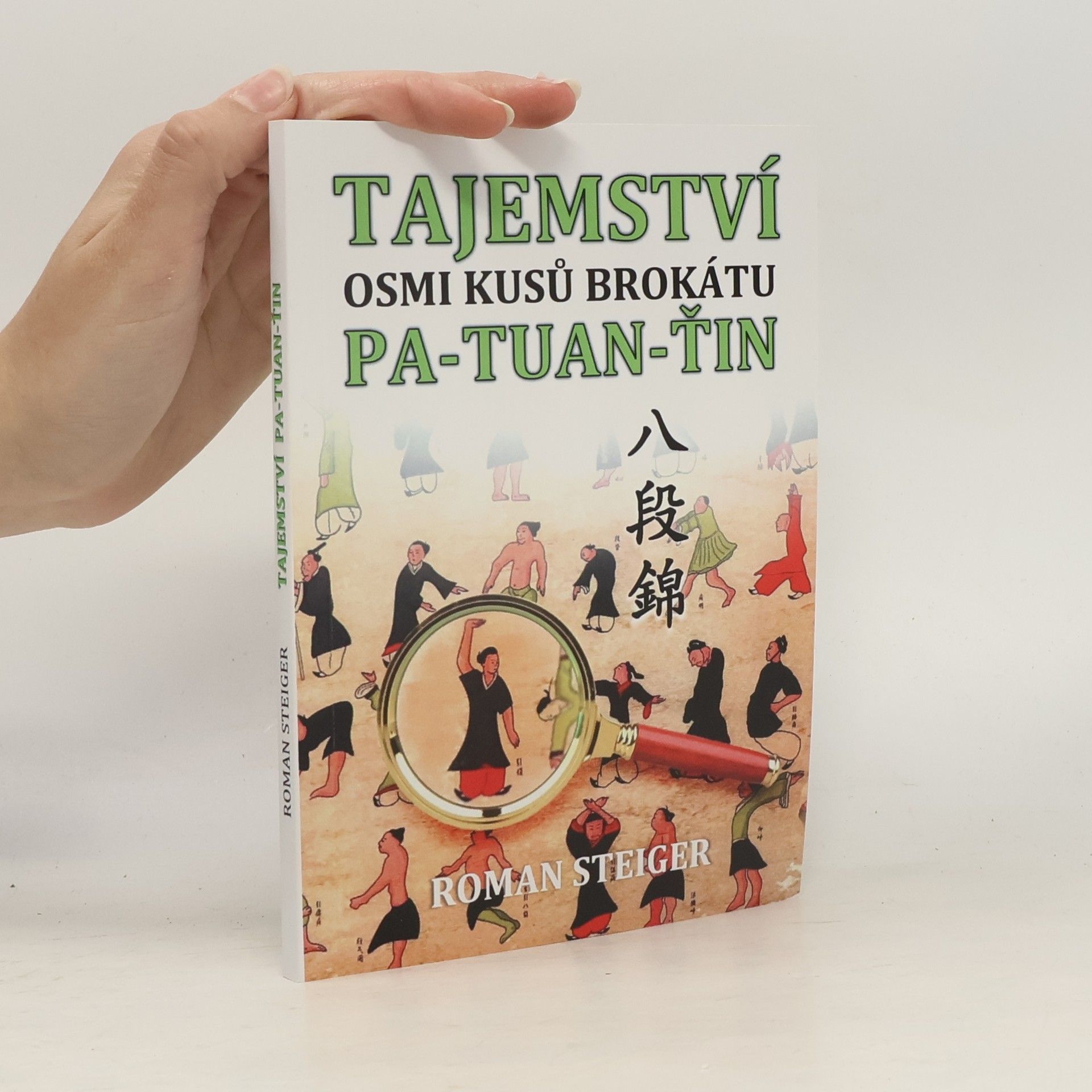 Roman Steiger Tajemství Osmi kusů brokátu Pa-tuan-ťin