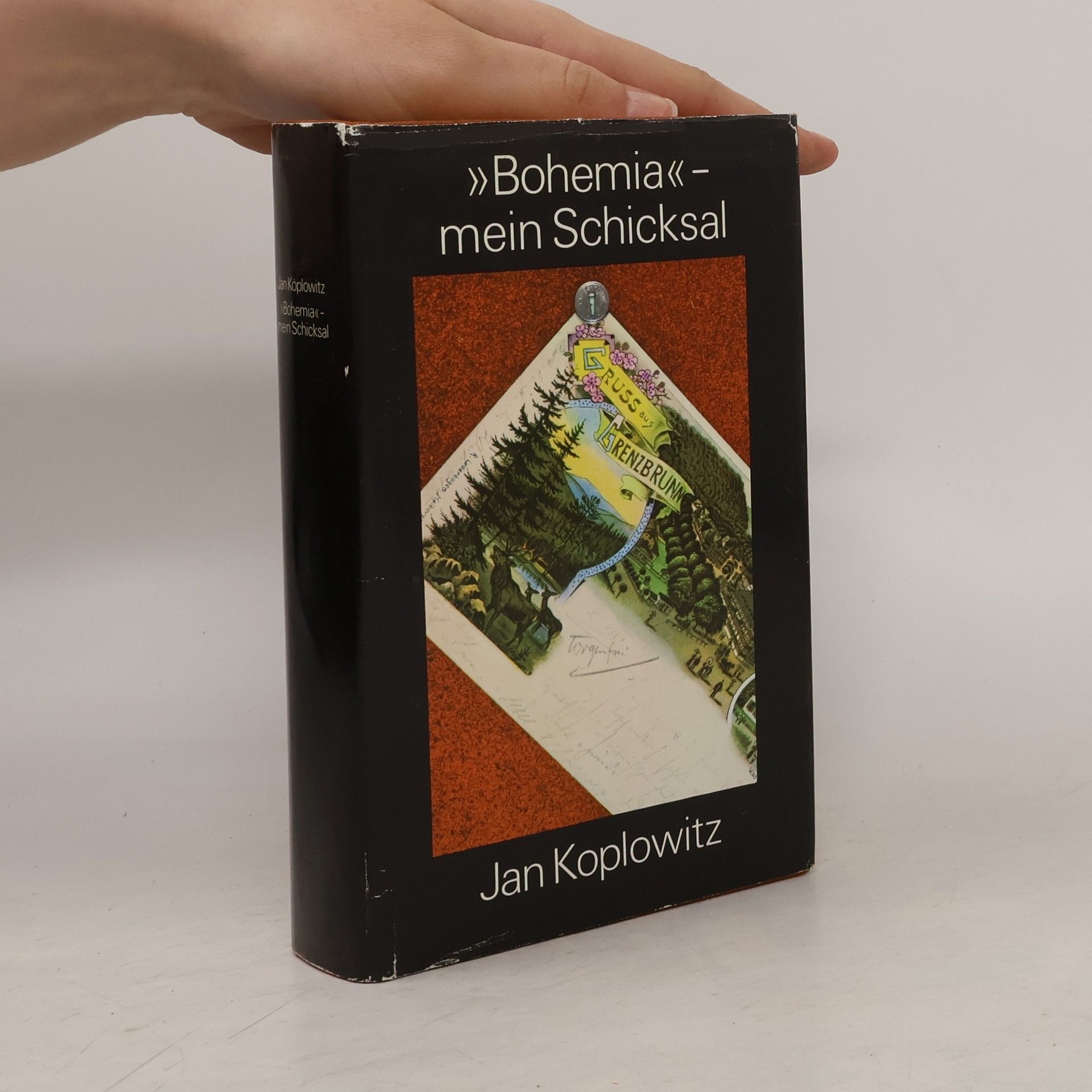 Jan Koplowitz "Bohemia" - mein Schicksal