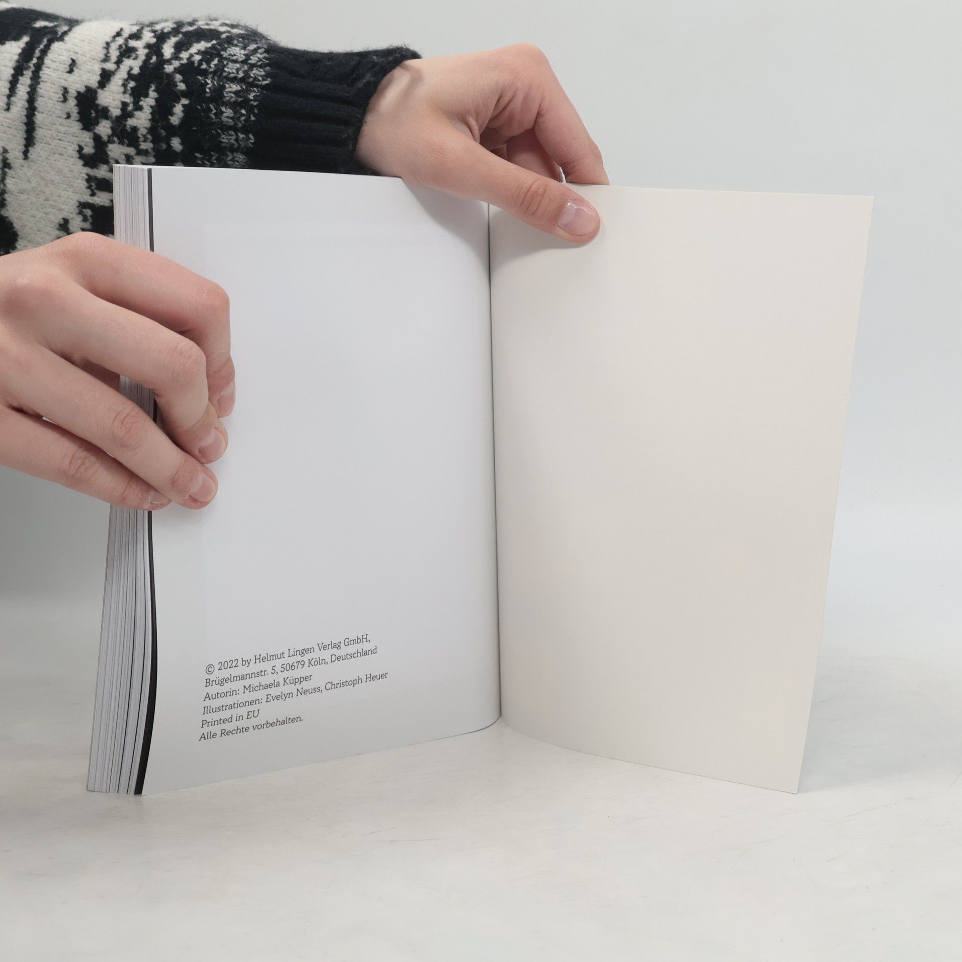 Collectif d'auteurs Escape Story Fab Four. Der verzwickte Kunstraub
