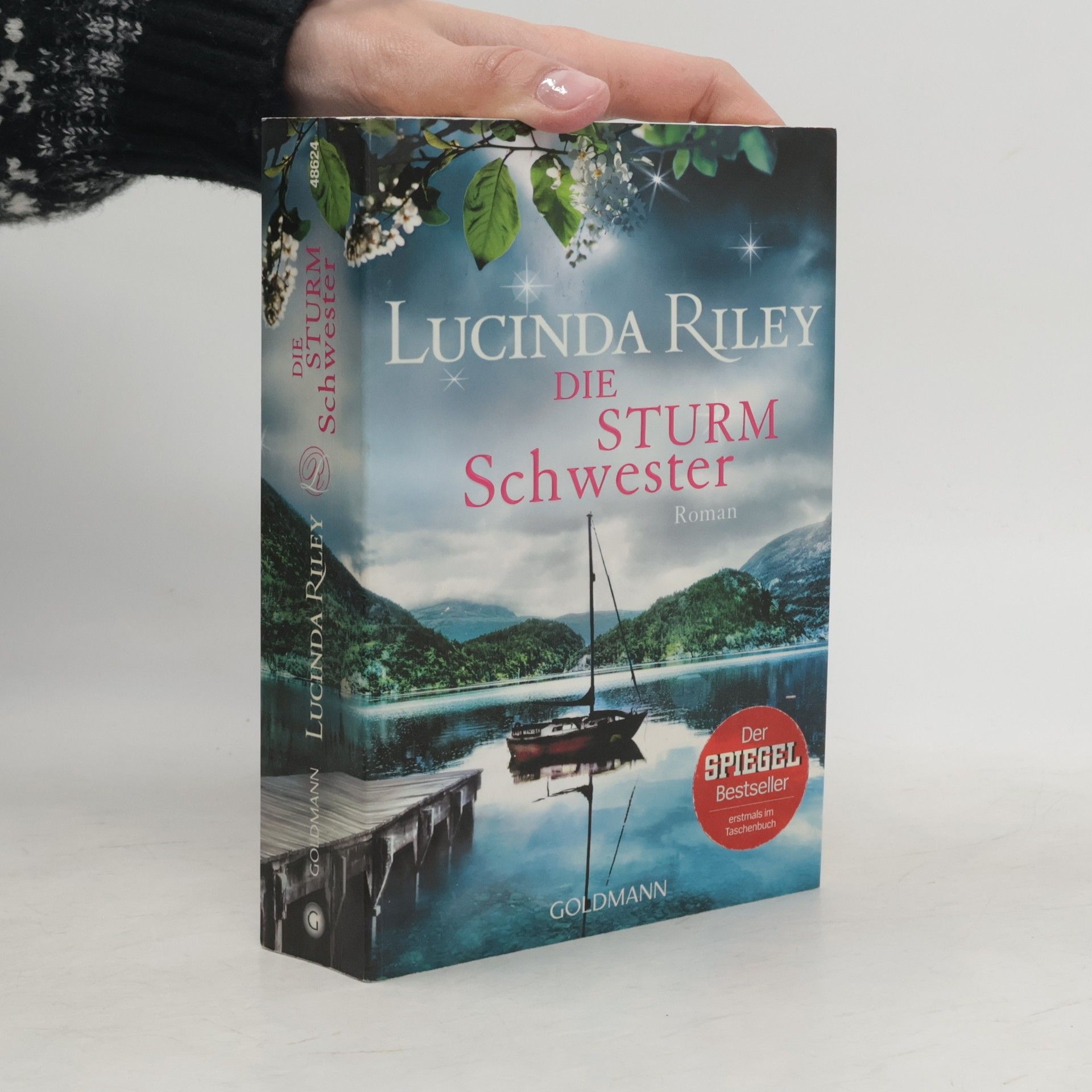 Lucinda Riley Die Sturmschwester