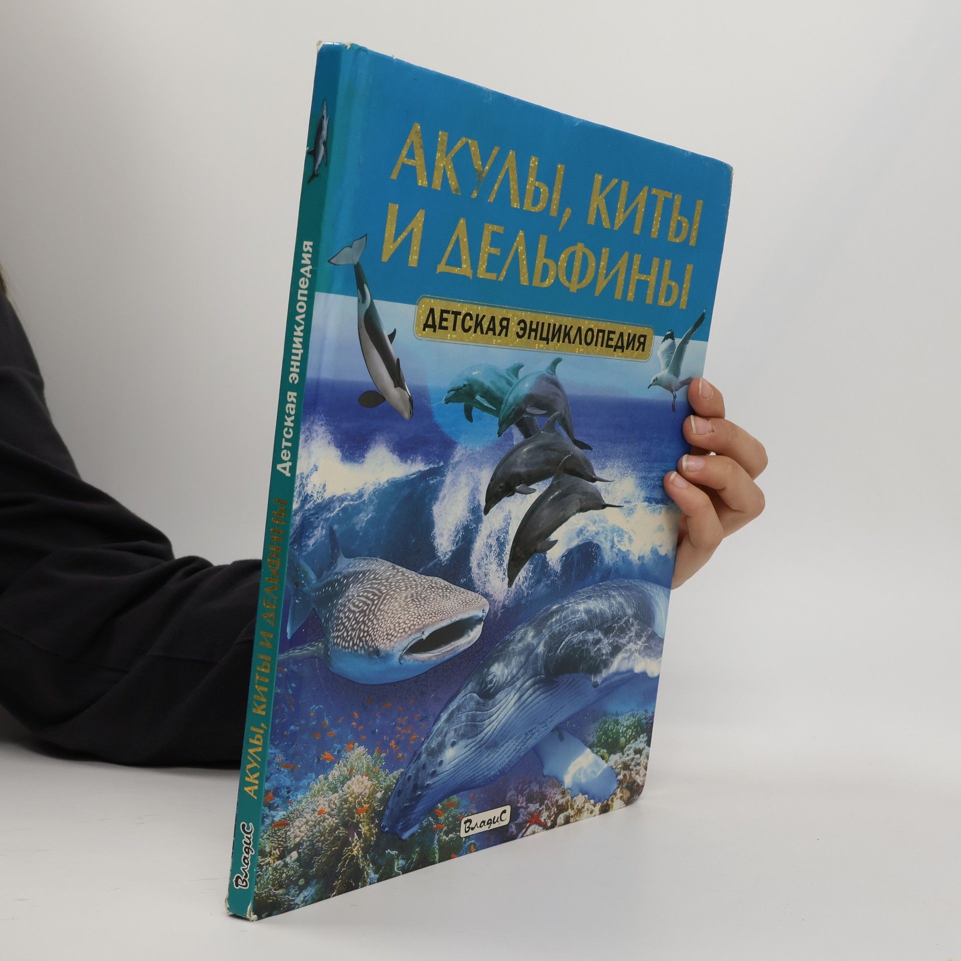 Акулы, киты и дельфины