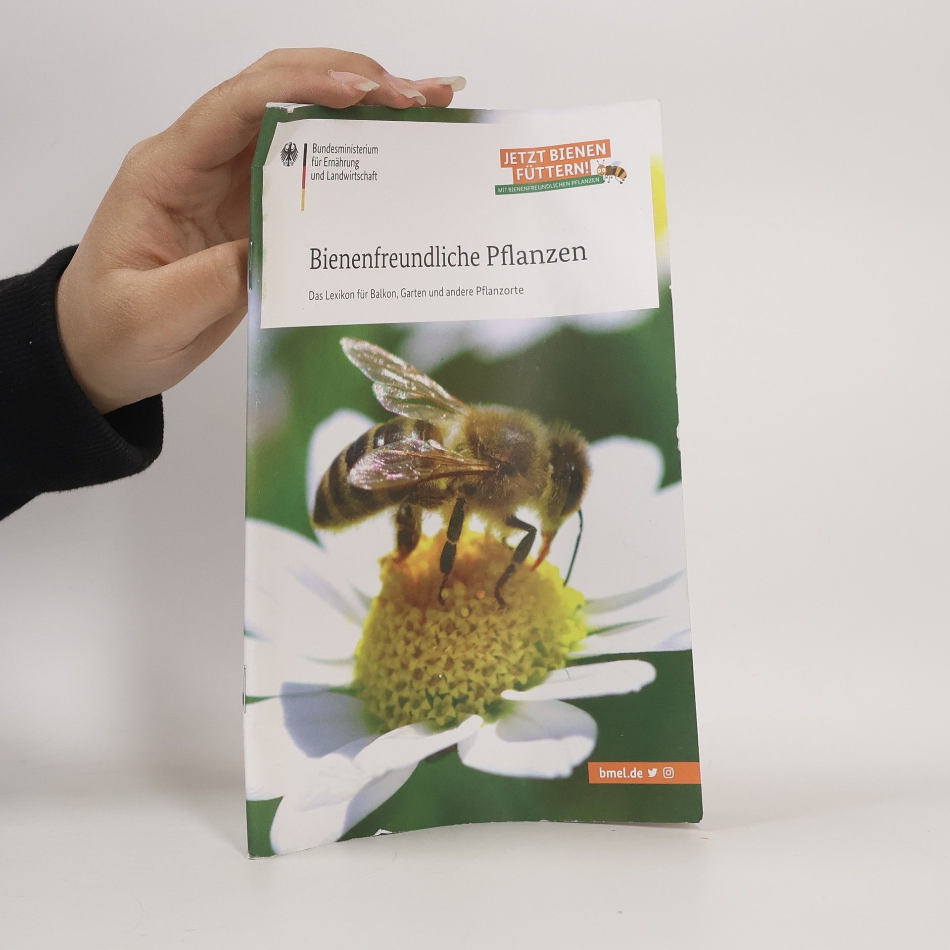 Kolektiv autorů Bienenfreundliche Pflanzen