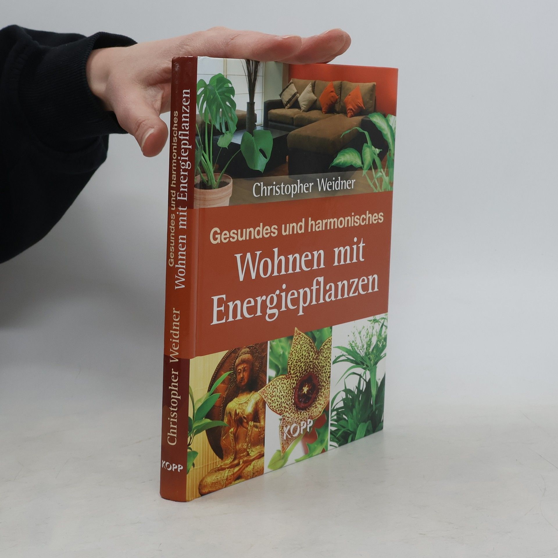 Gesundes und harmonisches Wohnen mit Energiepflanzen