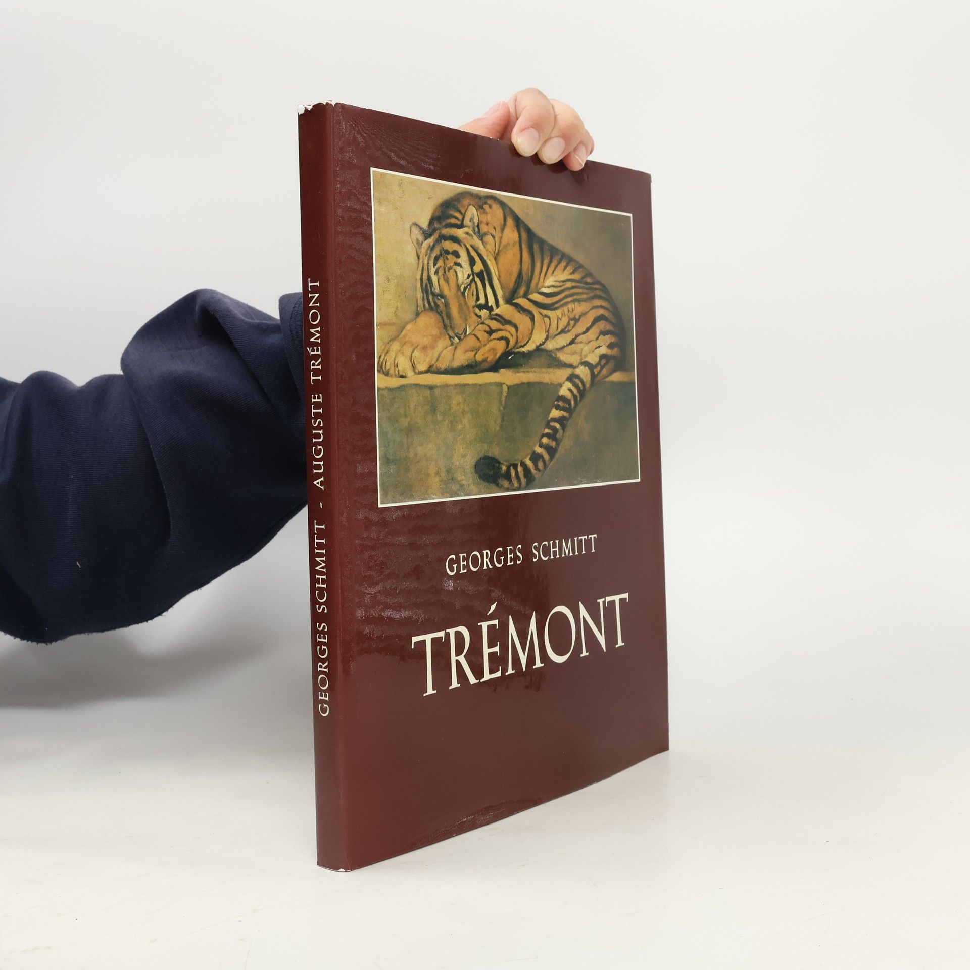 Georges Schmitt Trémont