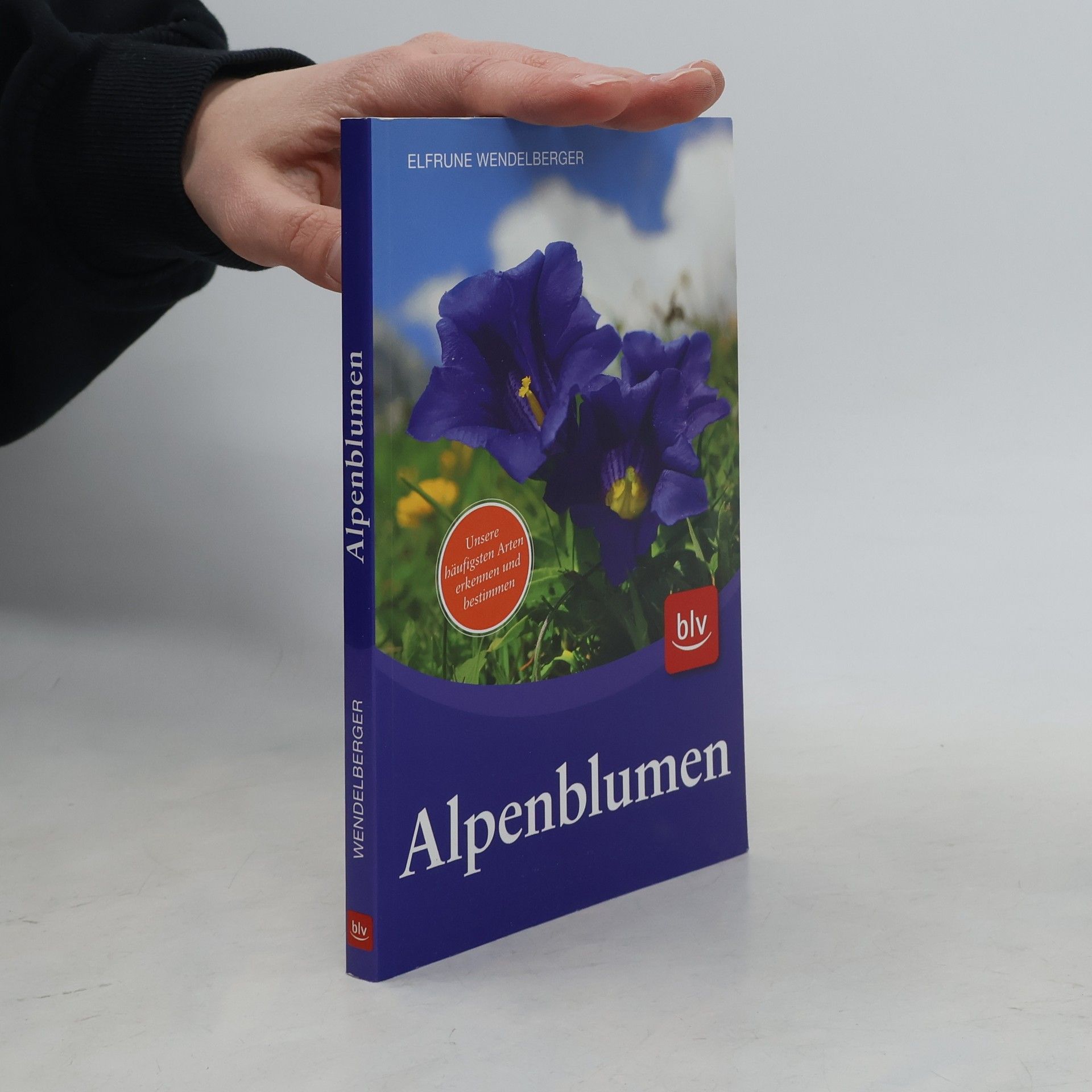 Elfrune Wendelberger Alpenblumen