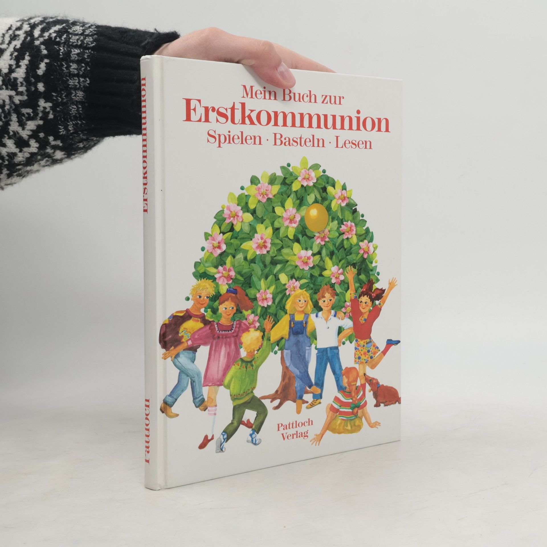 Collectif d'auteurs Mein Buch zur Erstkommunion