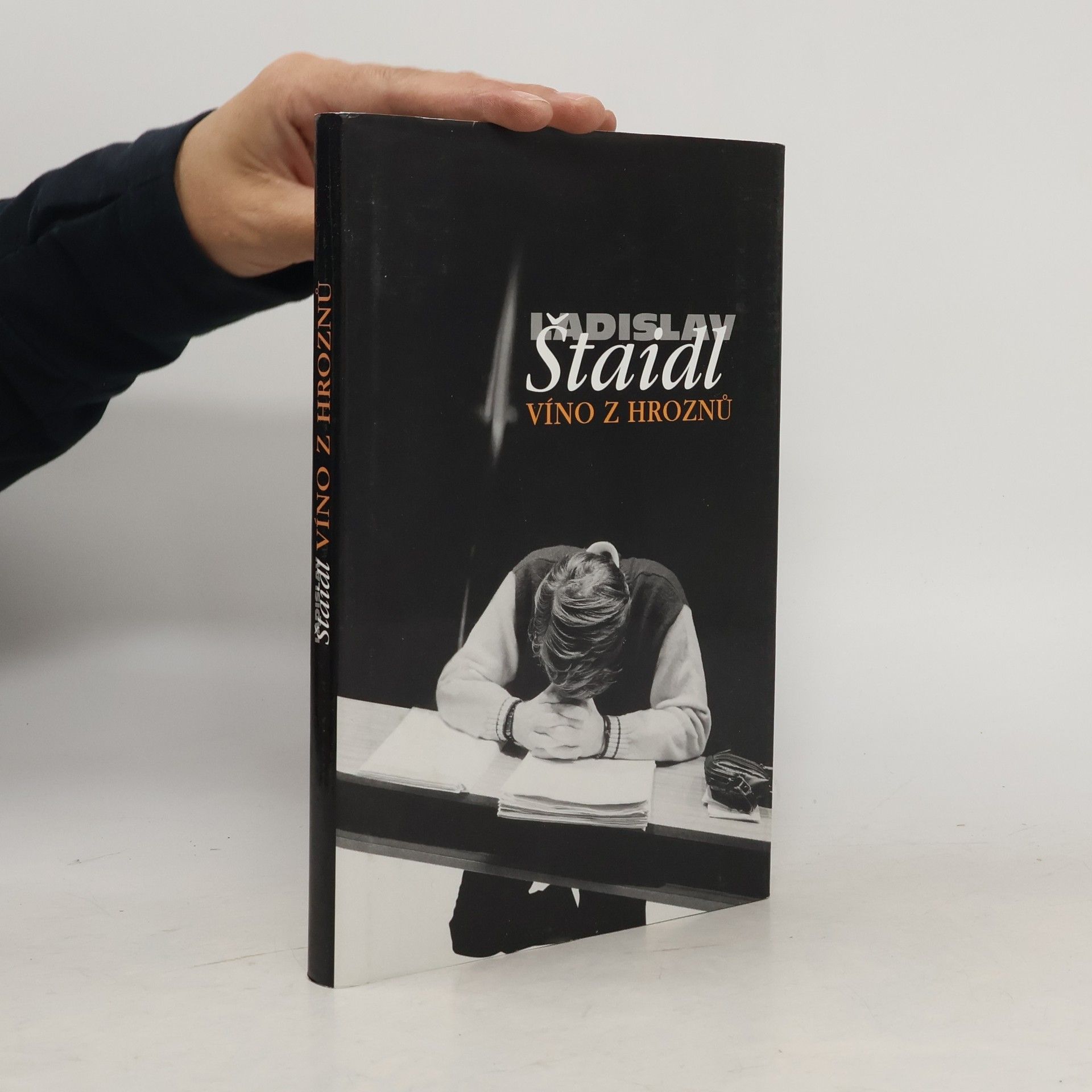 Ladislav Štaidl Víno z hroznů