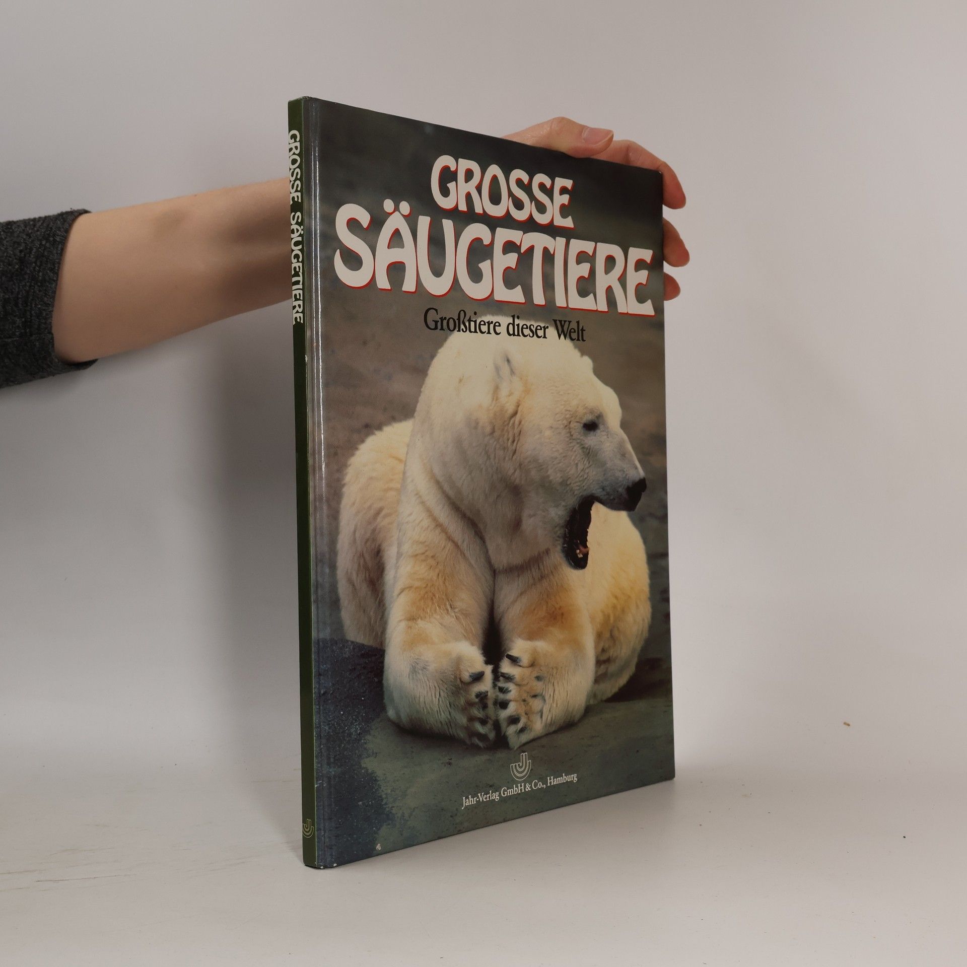 Kolektiv autorů Grosse Säugetiere