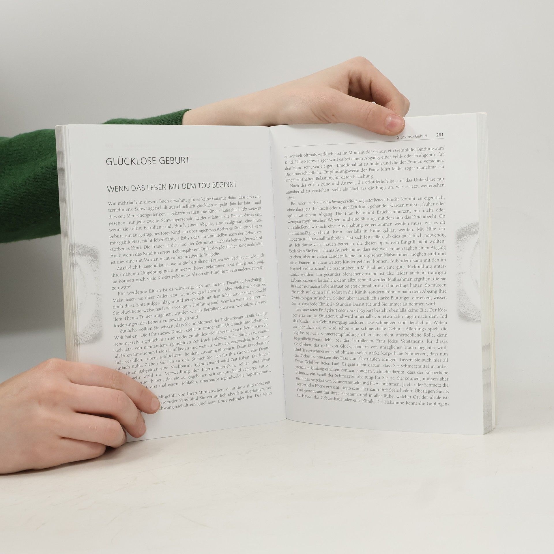 Ingeborg Stadelmann Die Hebammen - Sprechstunde