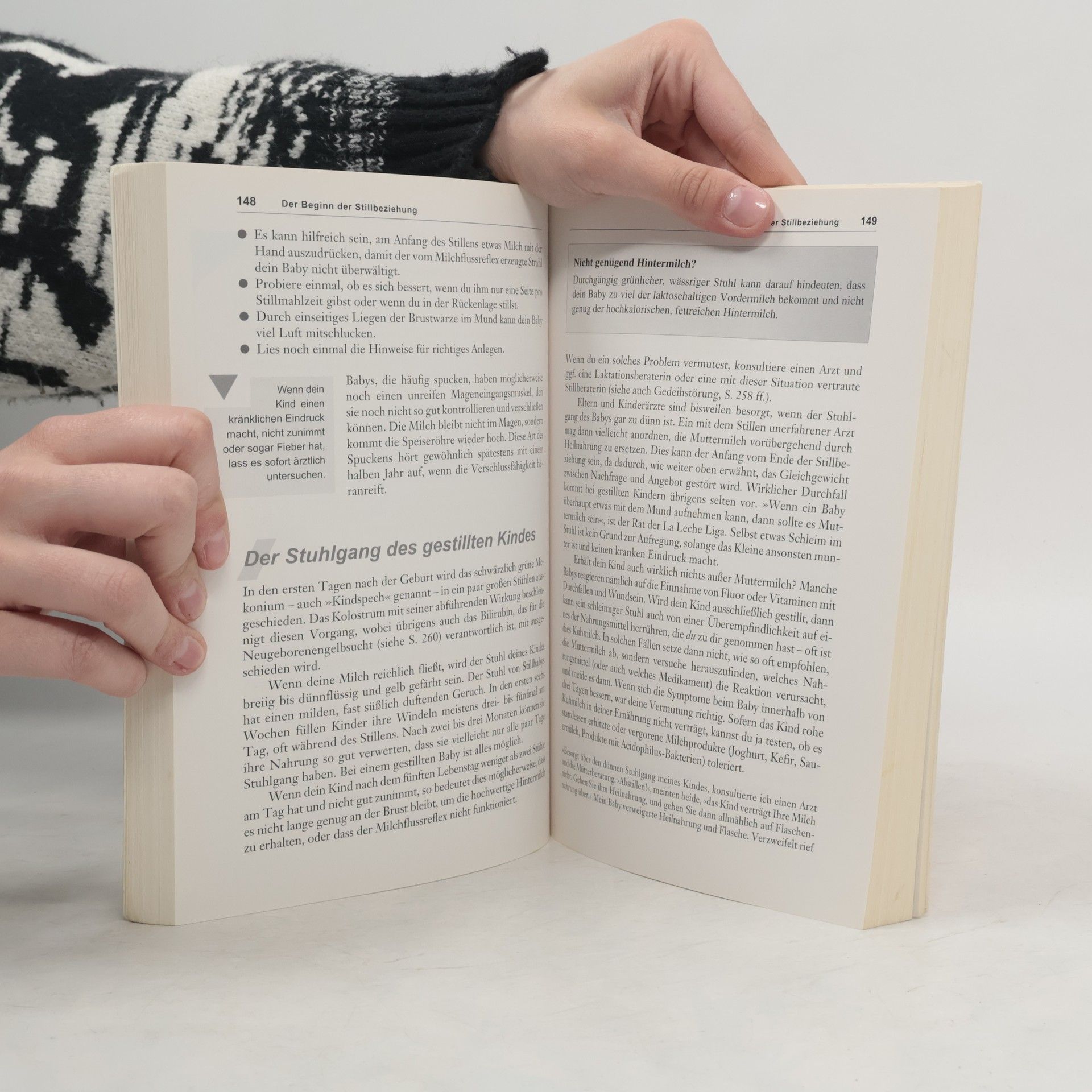 Hanny Lothrop Das Stillbuch