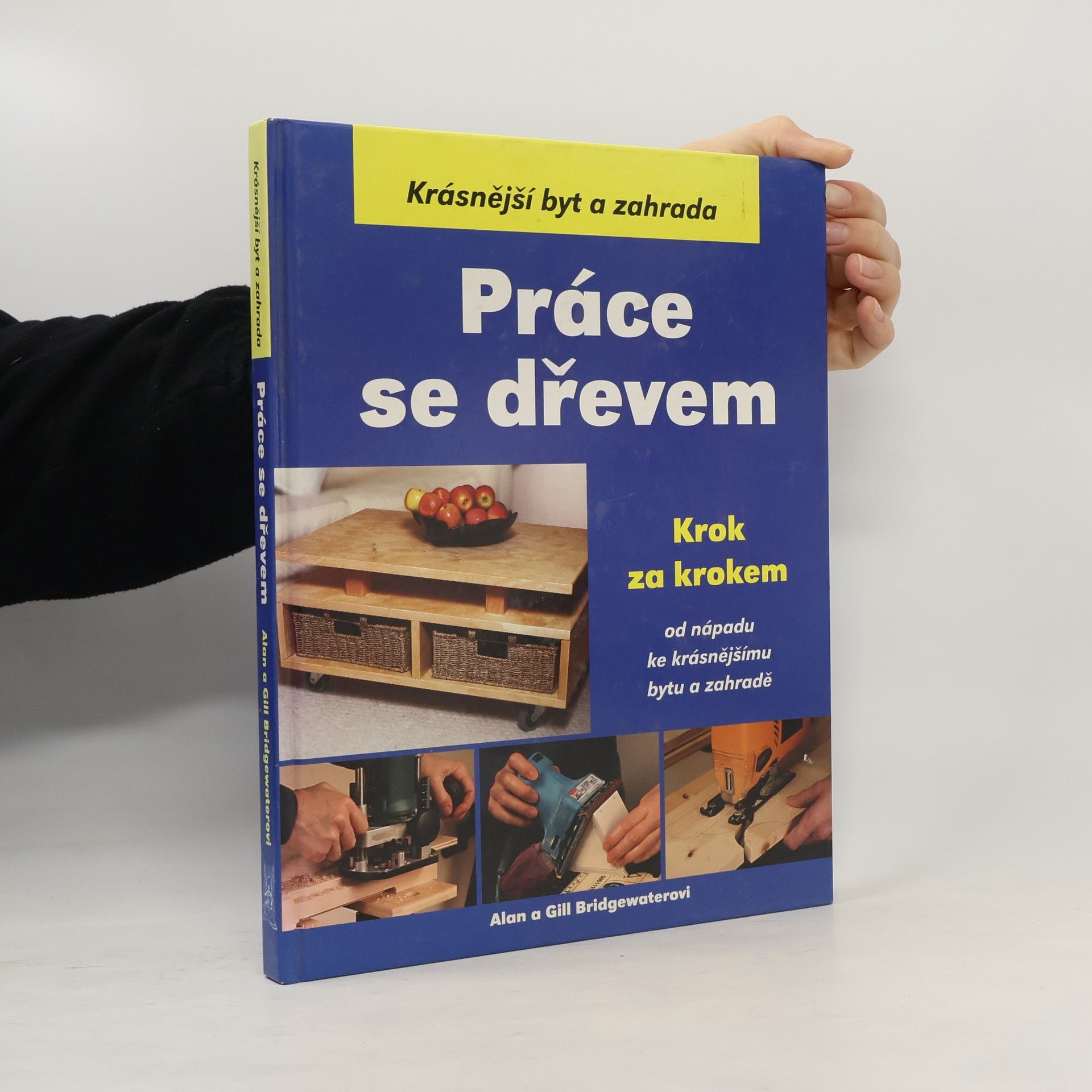 Alan Bridgewater Práce se dřevem krok za krokem