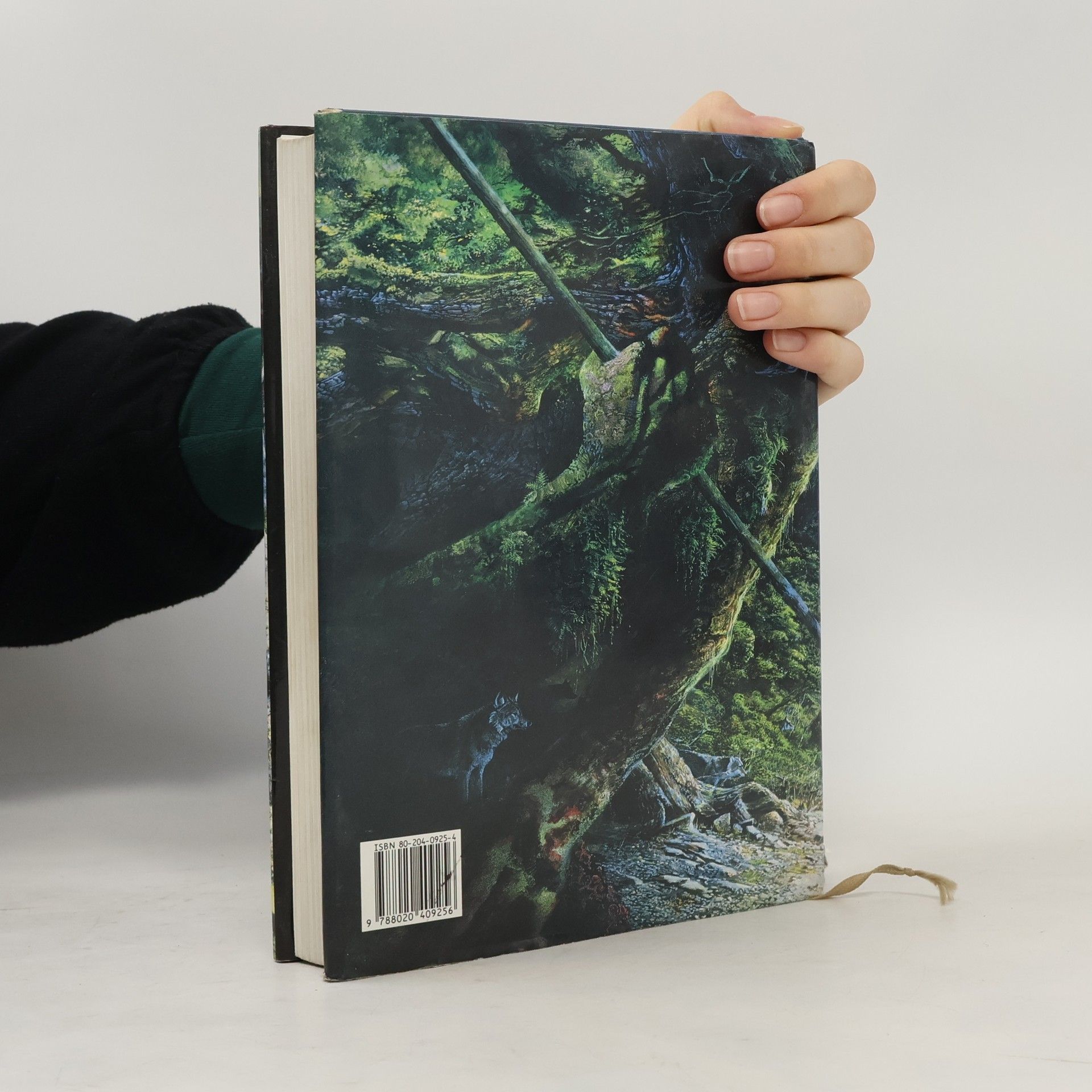 J. R. R. Tolkien Pán prstenů. Společenstvo Prstenu