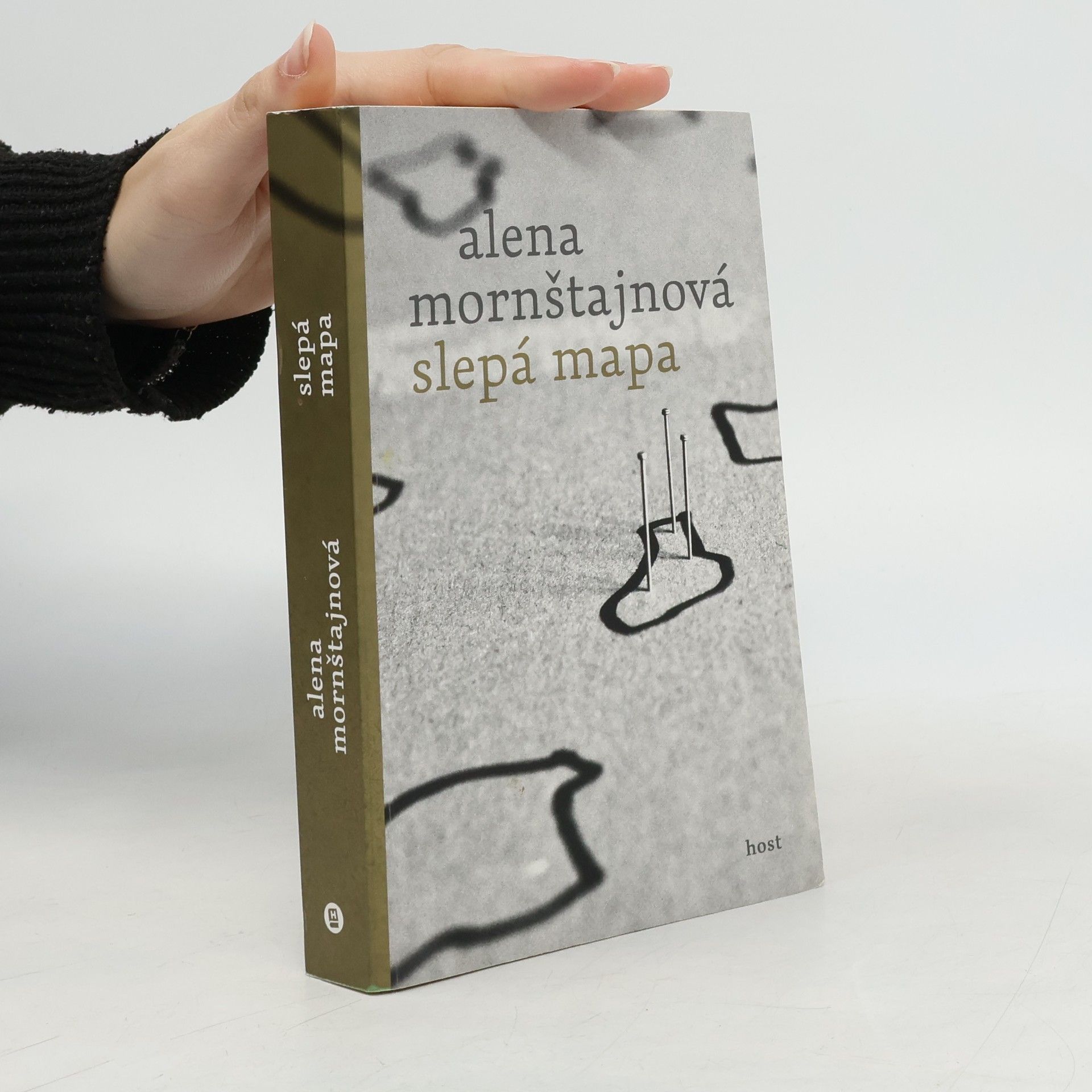 Alena Mornštajnová Slepá mapa