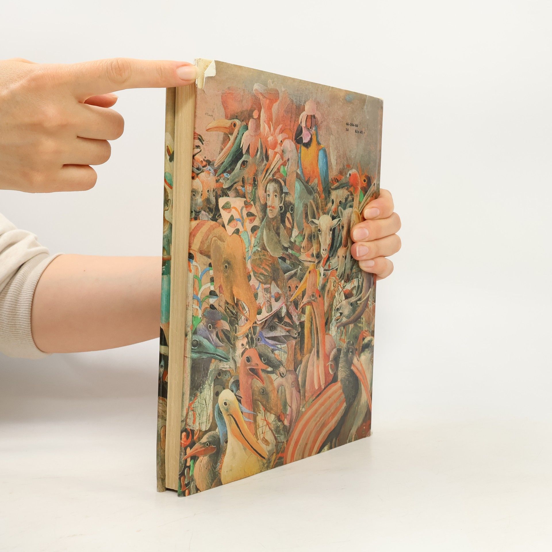 Lewis Carroll Alica v krajine zázrakov