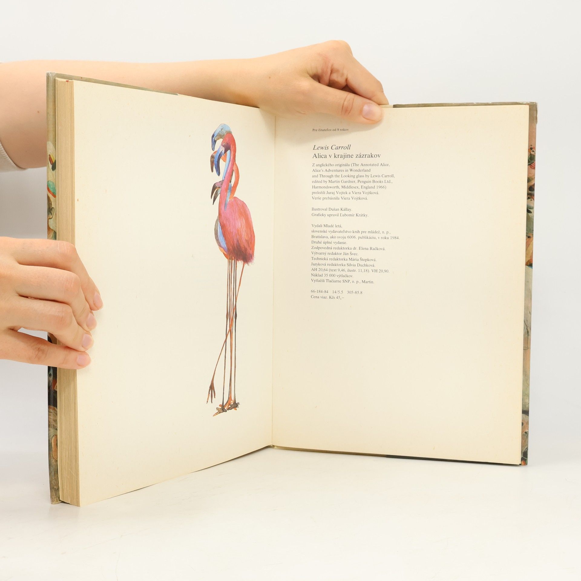 Lewis Carroll Alica v krajine zázrakov