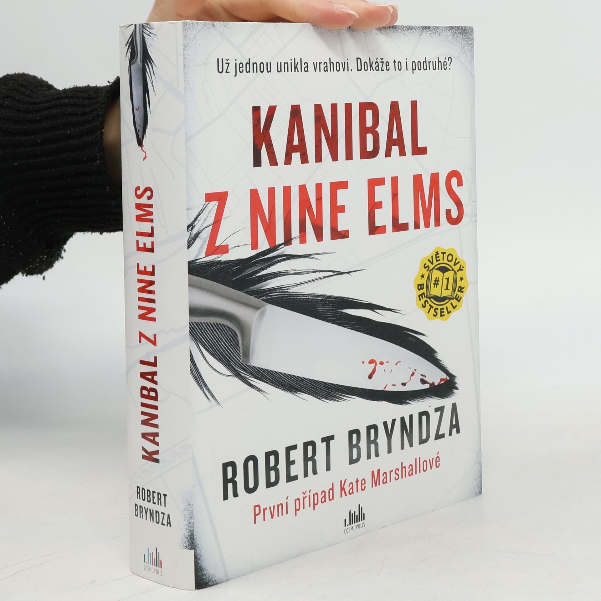 Robert Bryndza Kanibal z Nine Elms
