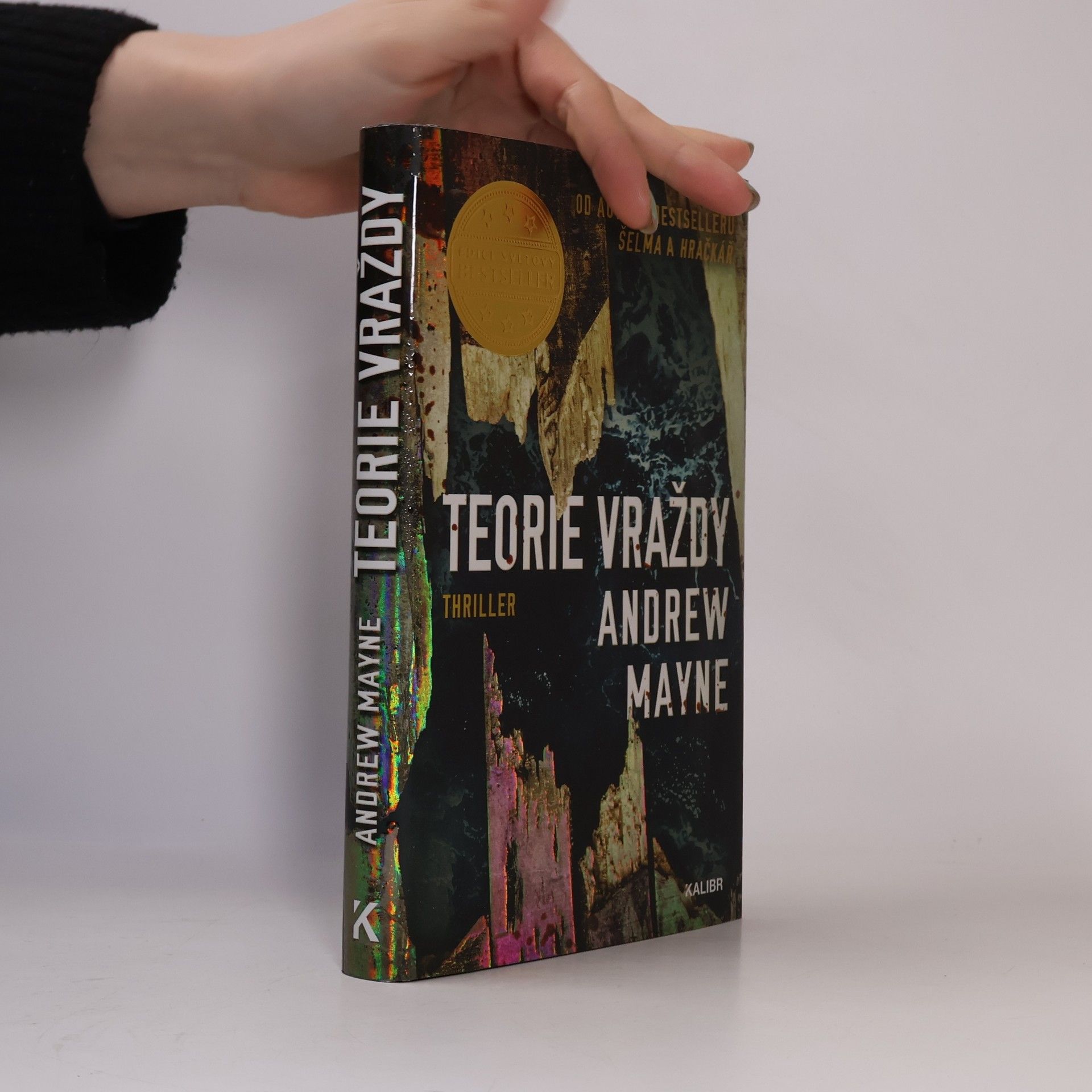 Andrew Mayne Teorie vraždy