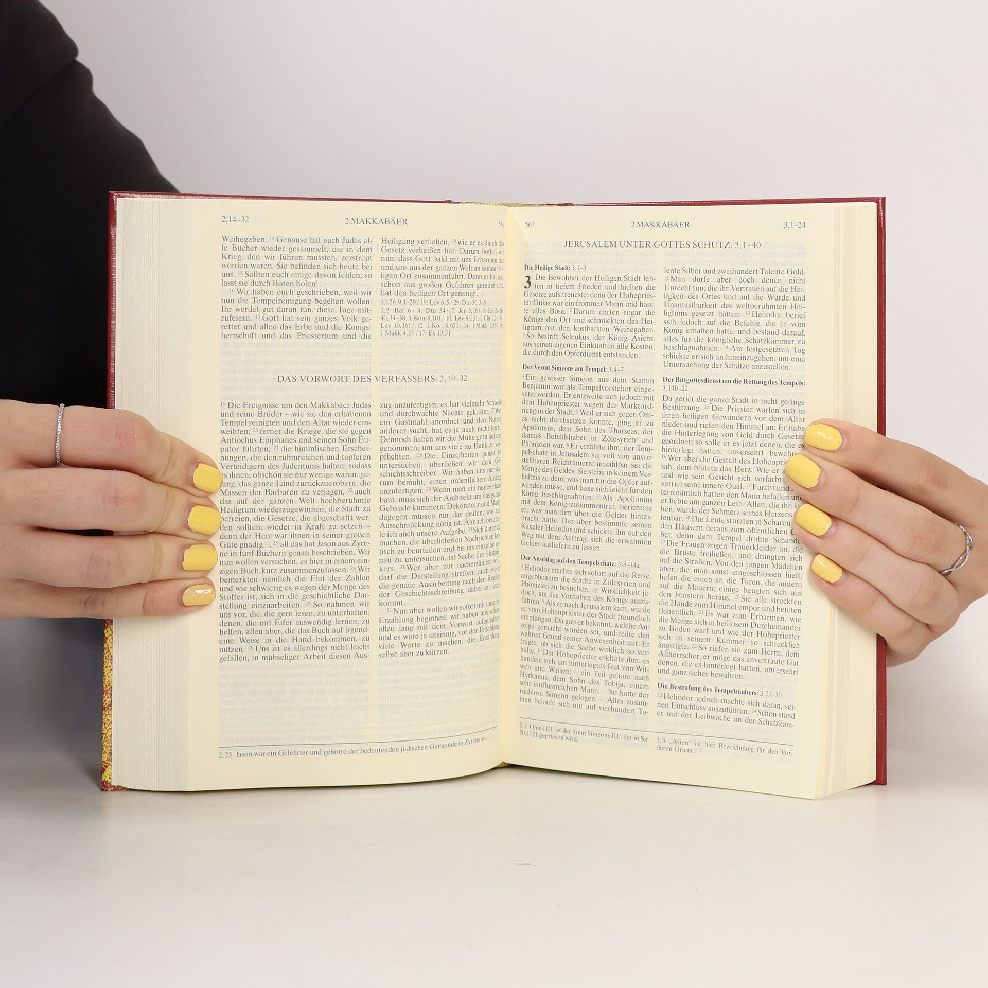 Kolektiv autorů Die Bibel