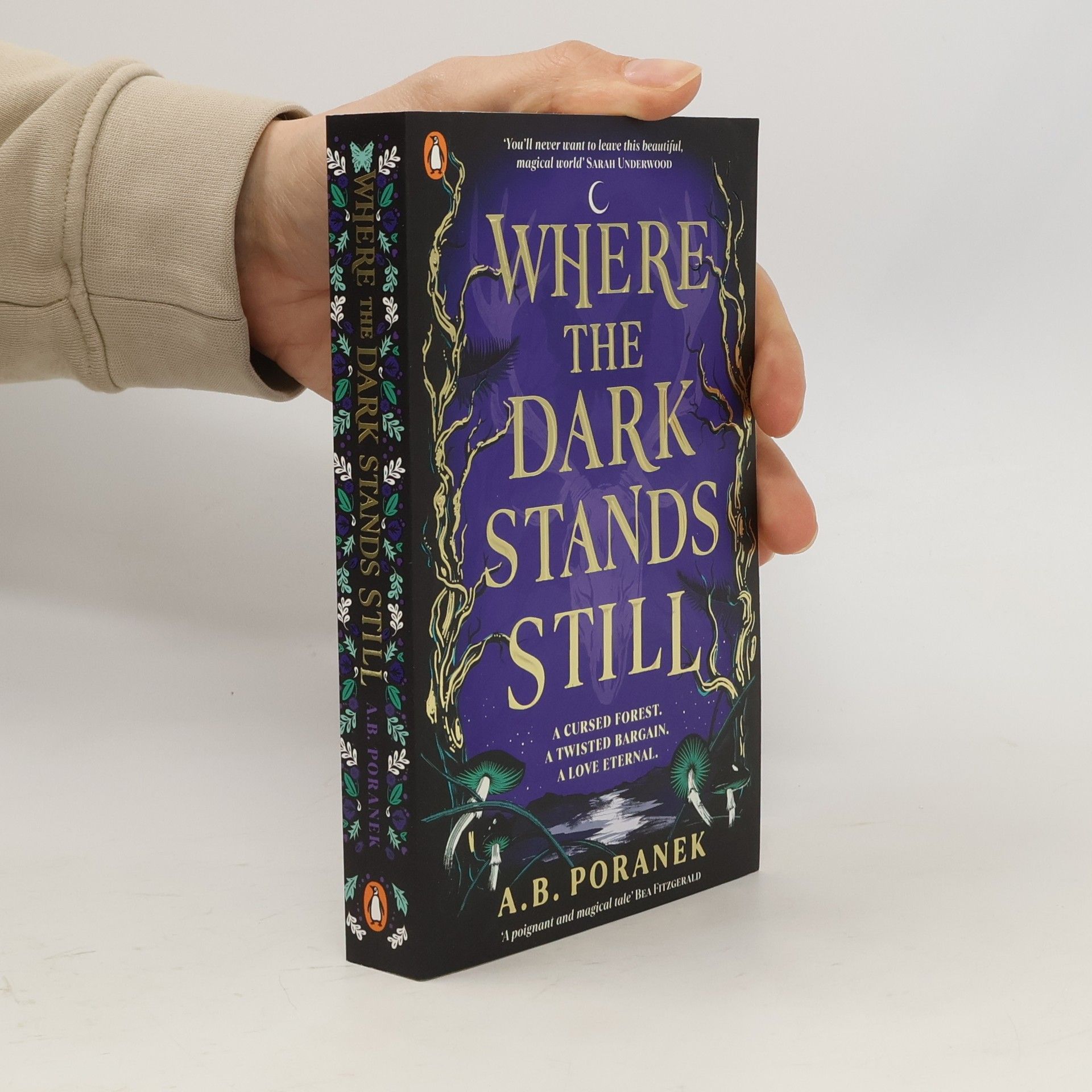 Where the Dark Stands Still