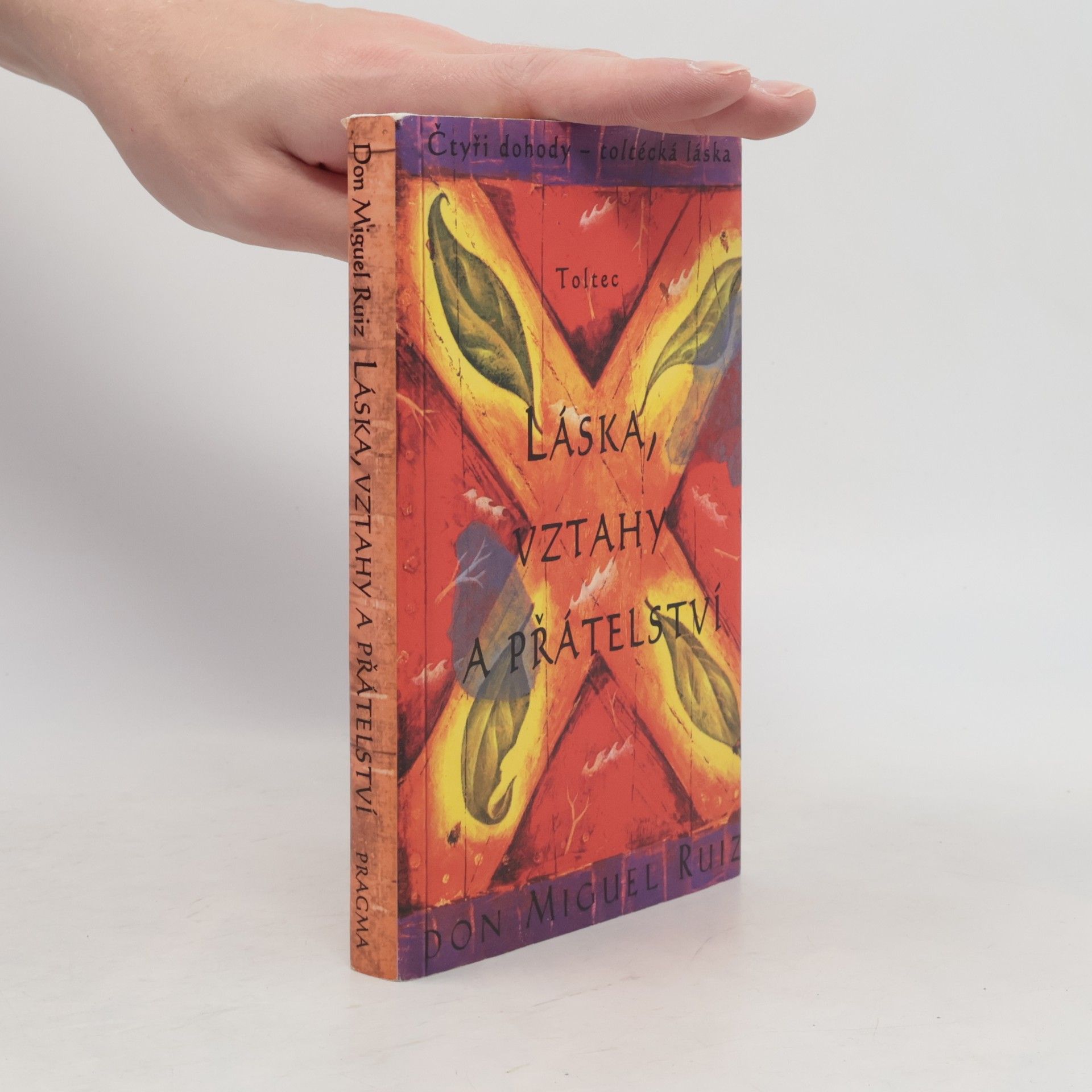 Don Miguel Ruiz Láska, vztahy a přátelství