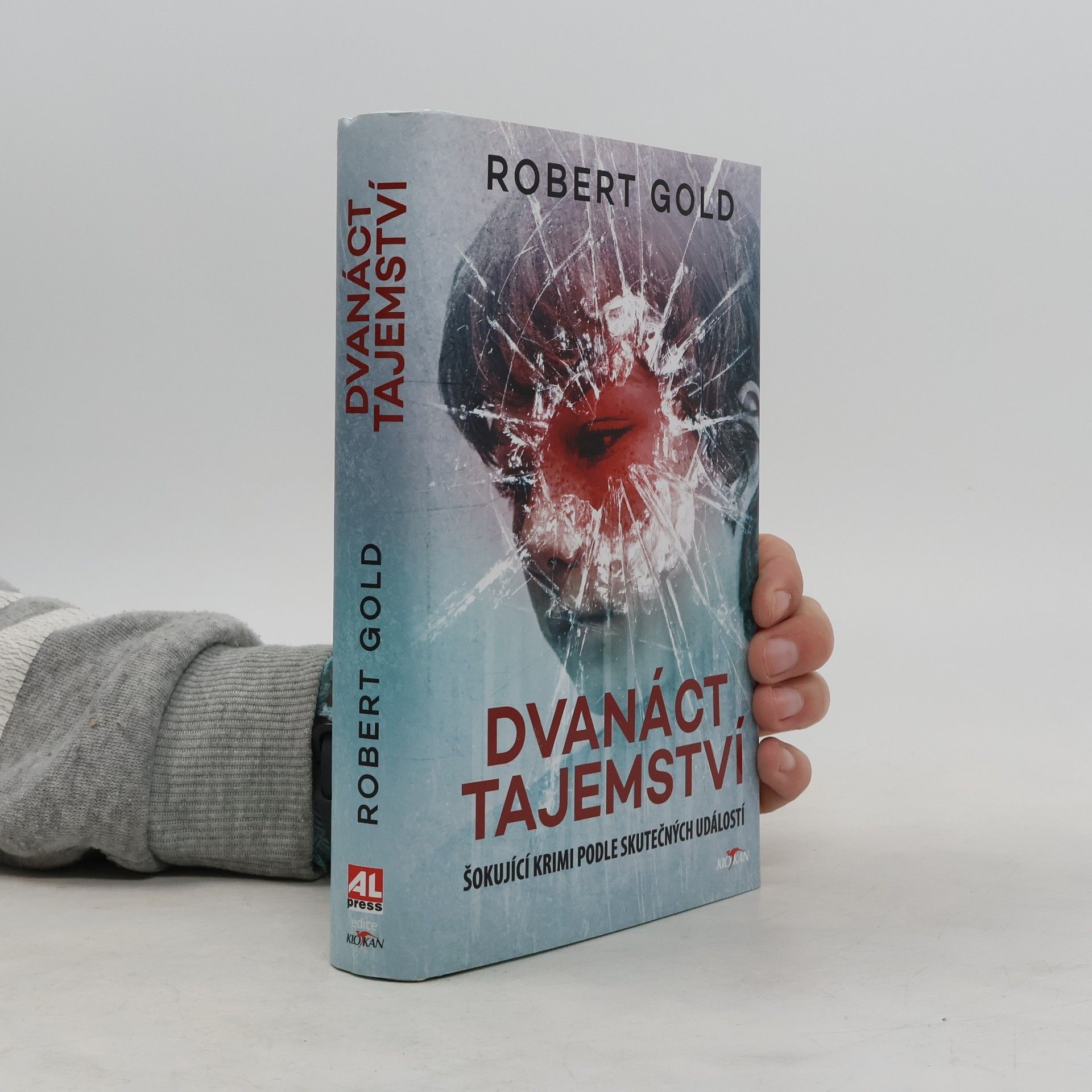 Robert Gold Dvanáct tajemství