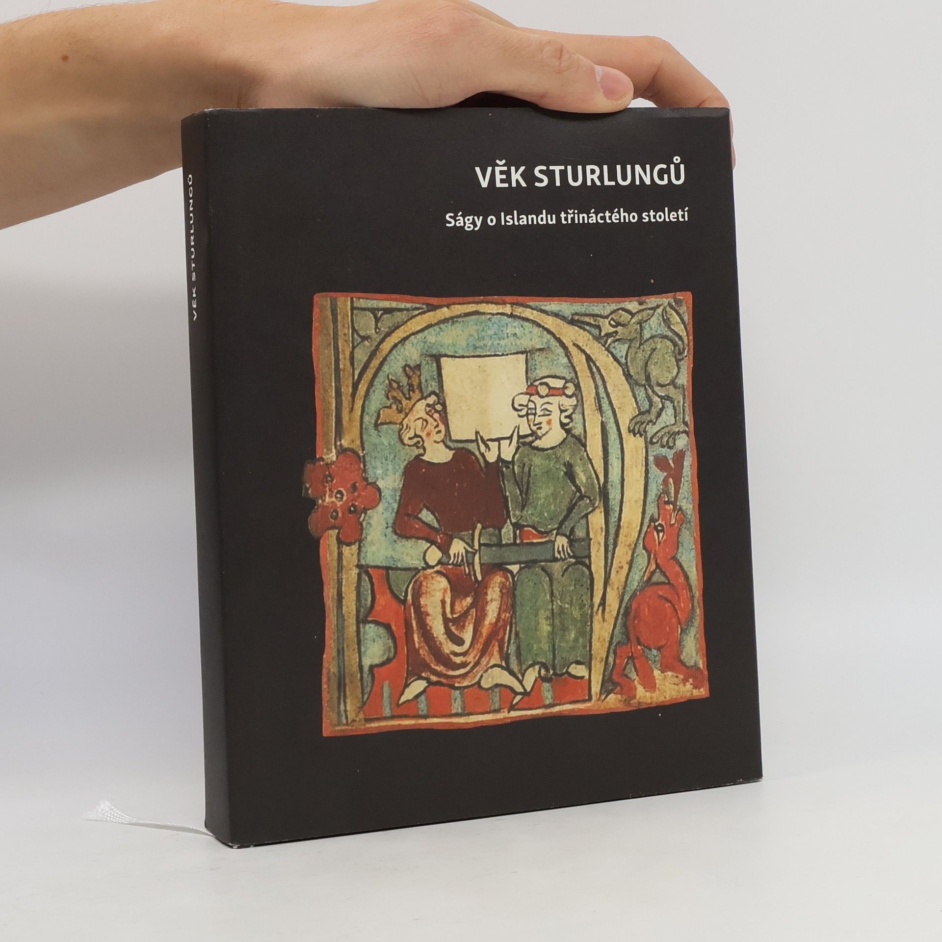 Autorenkollektiv Věk Sturlungů: Ságy o Islandu třináctého století