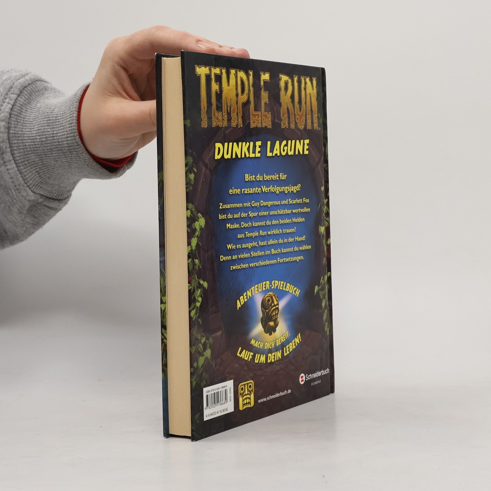 Chase Wilder Temple Run - Lauf um dein Leben! Dunkle Lagune