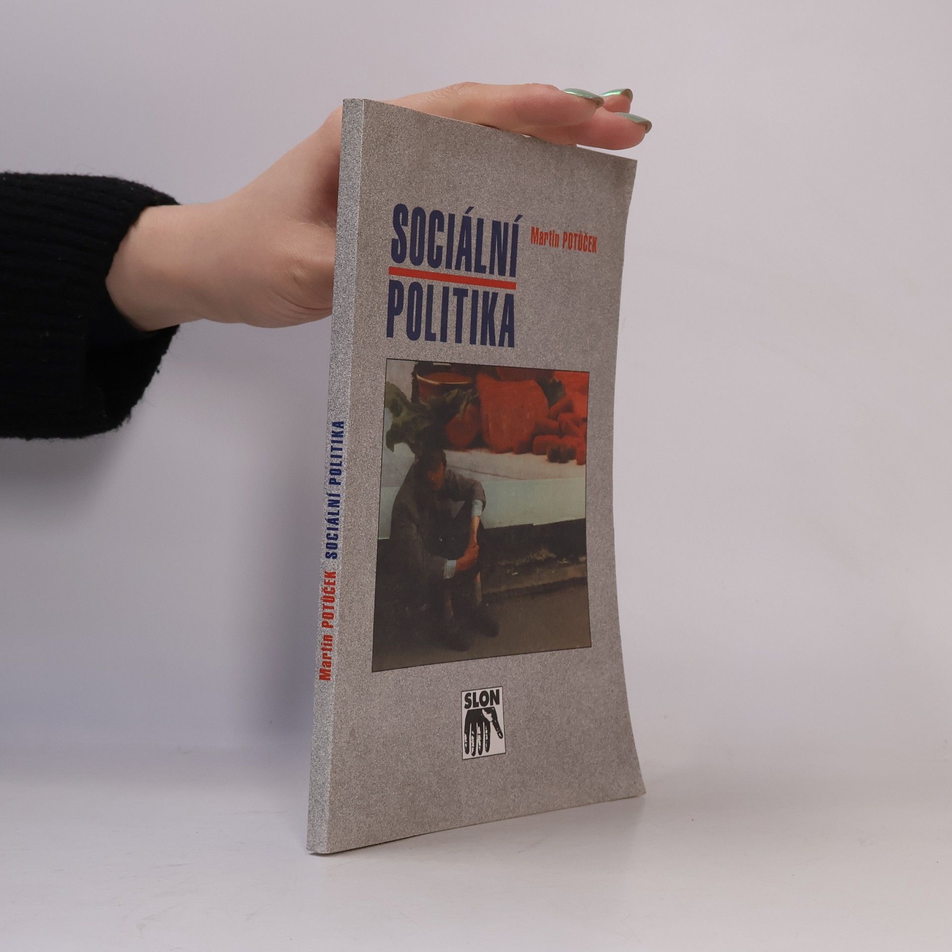 Martin Potůček Sociální politika