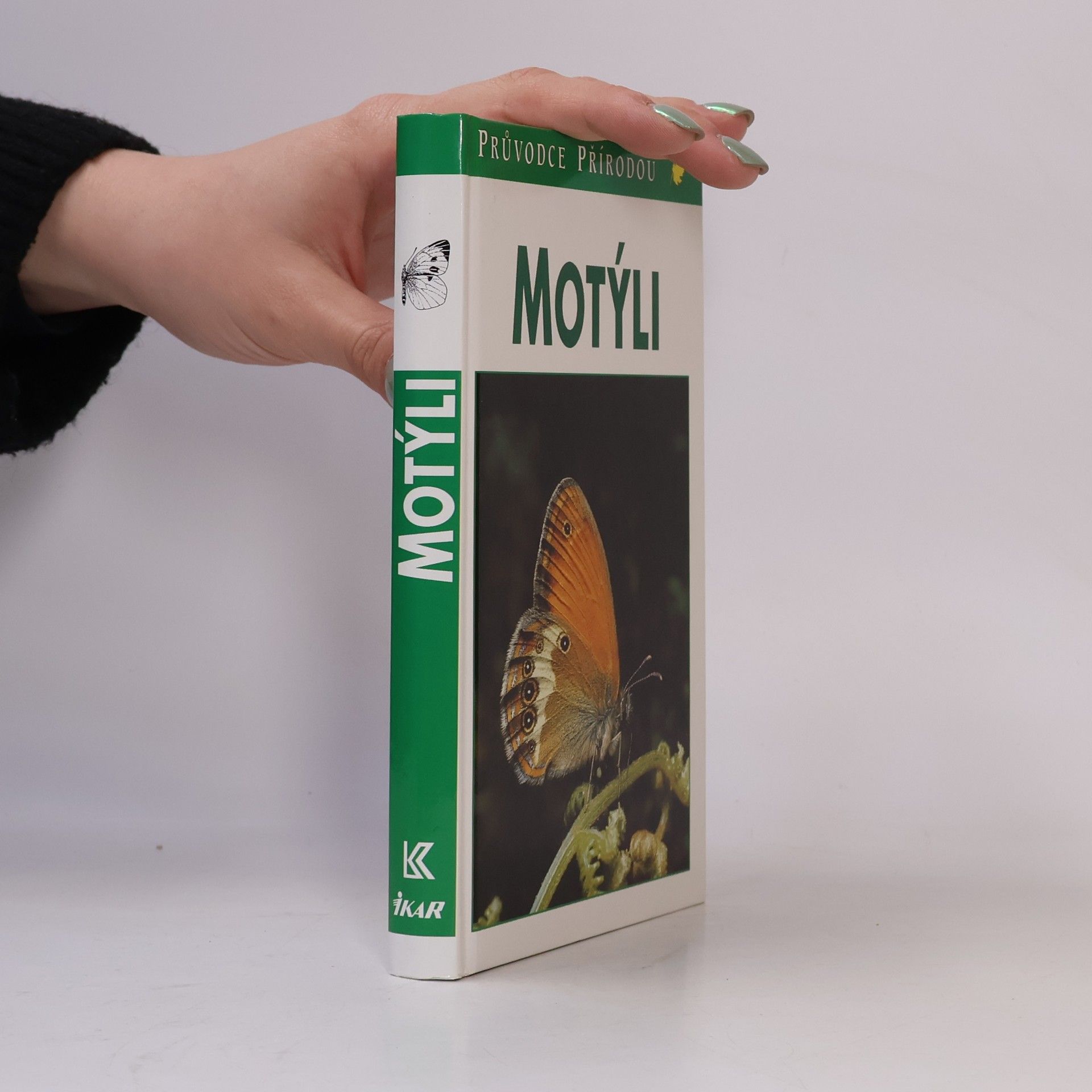 Motýli