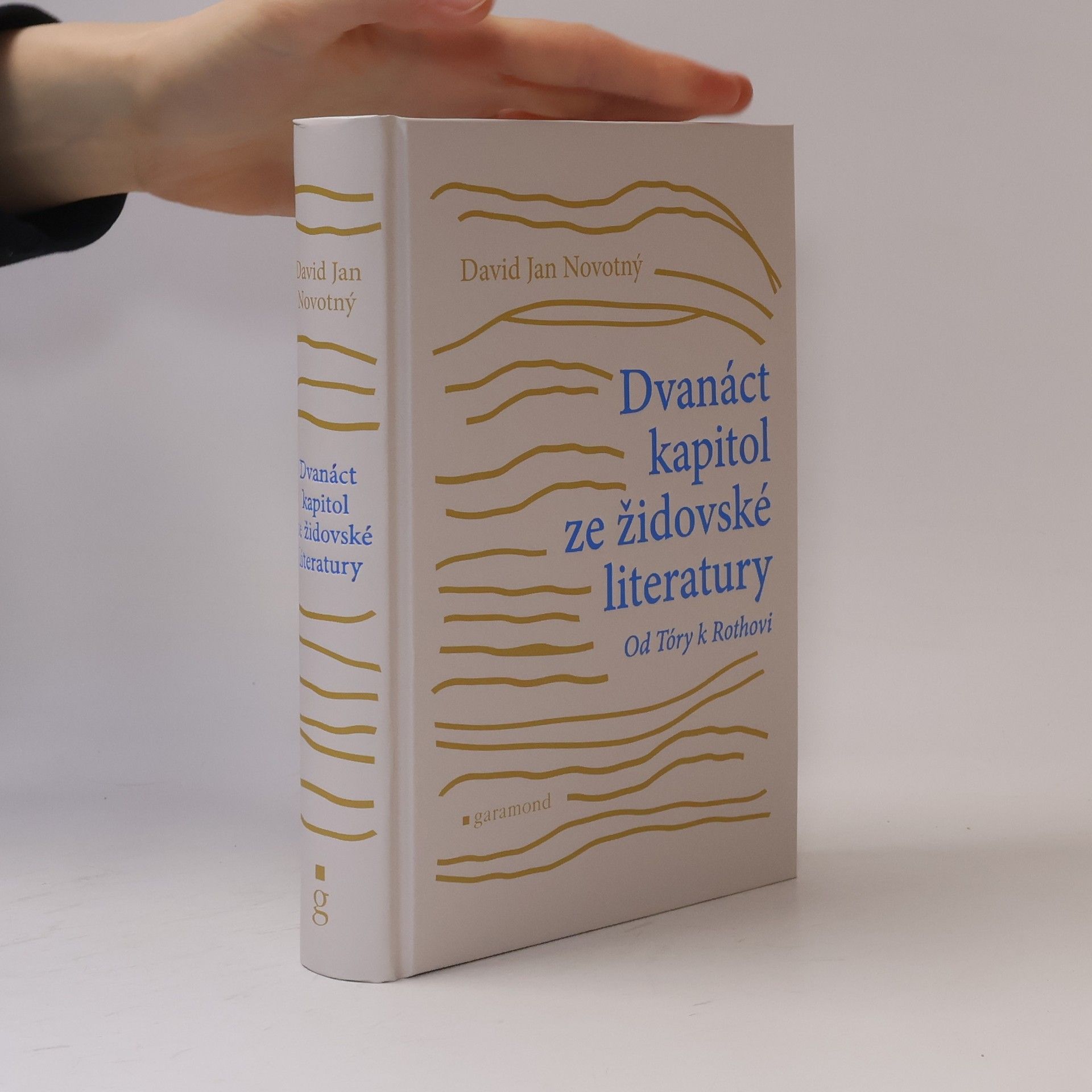 David Jan Novotný Dvanáct kapitol ze židovské literatury: Od Tóry k Rothovi