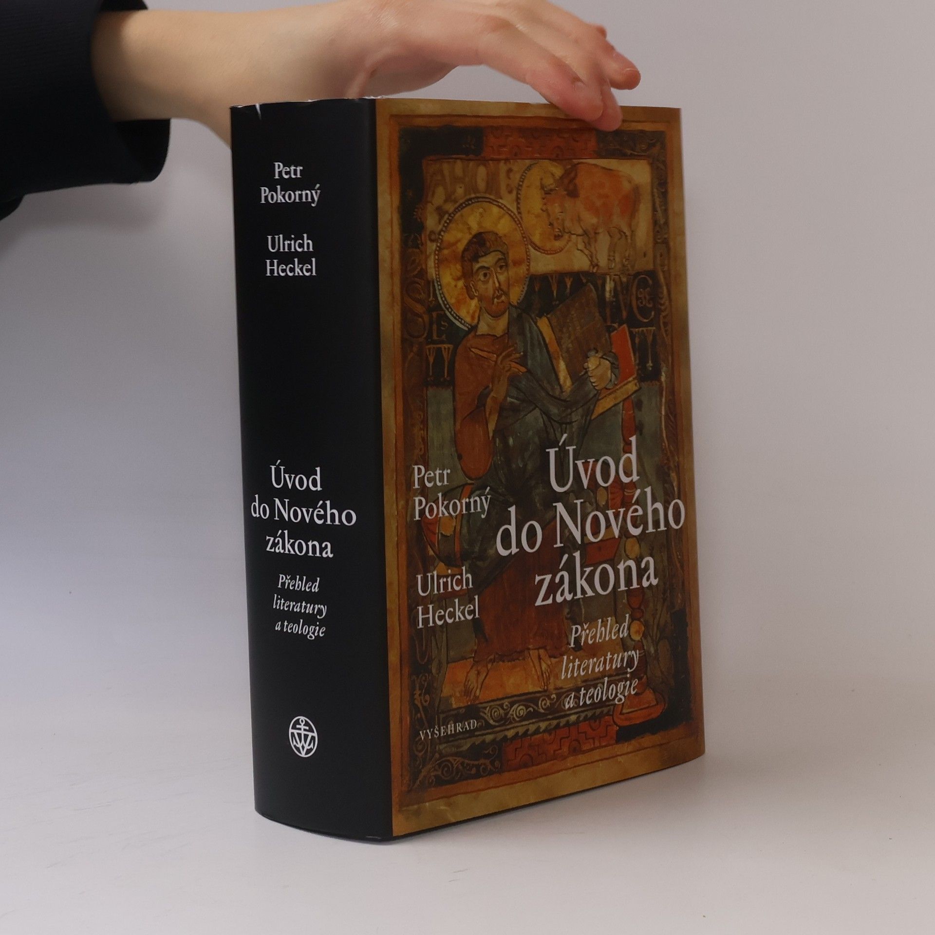 Úvod do Nového zákona : Přehled literatury a teologie