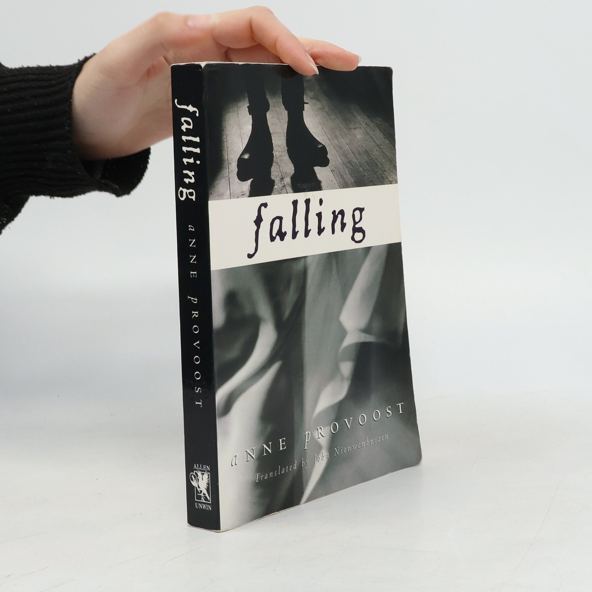 Anne Provoost Falling
