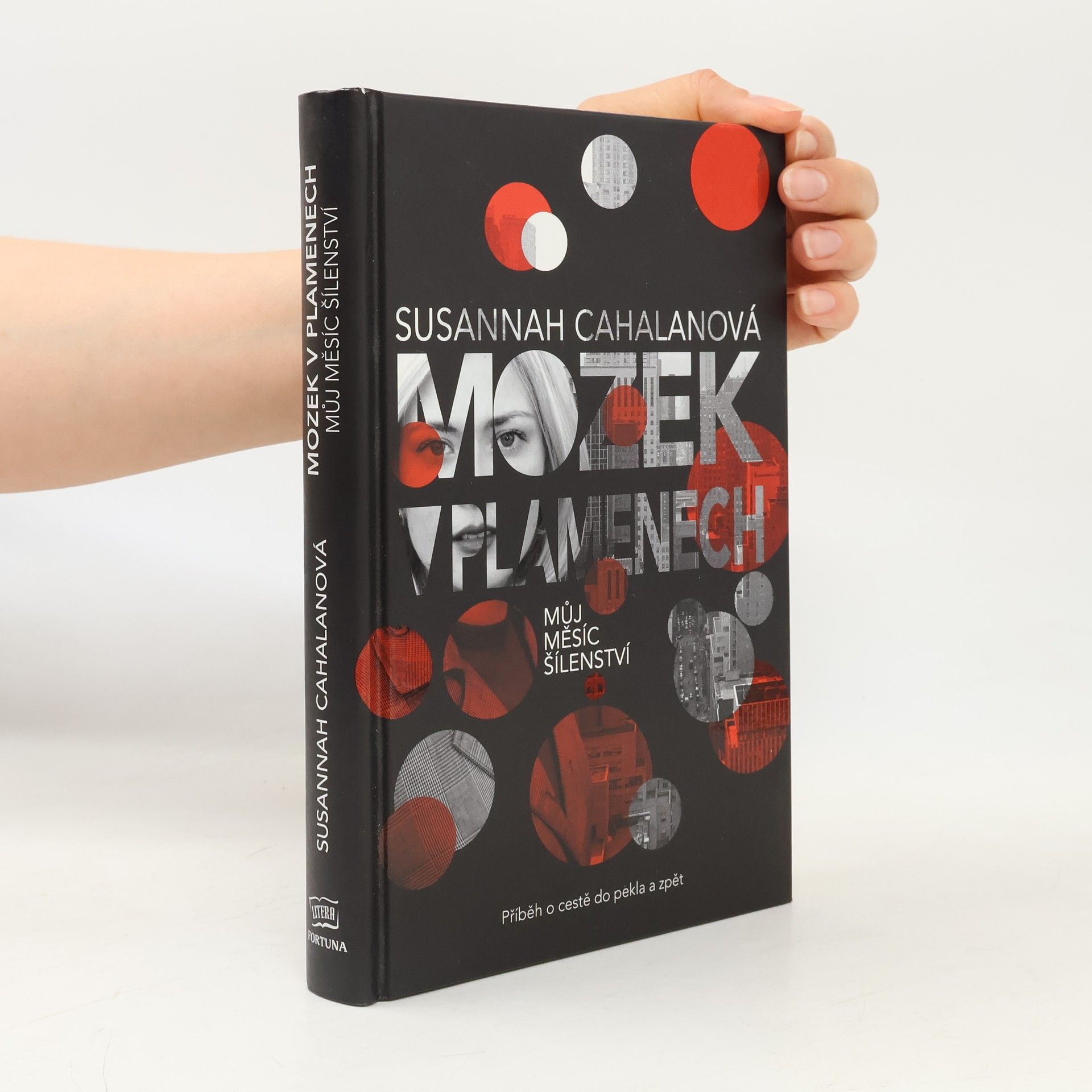 Susannah Cahalan Mozek v plamenech : můj měsíc šílenství