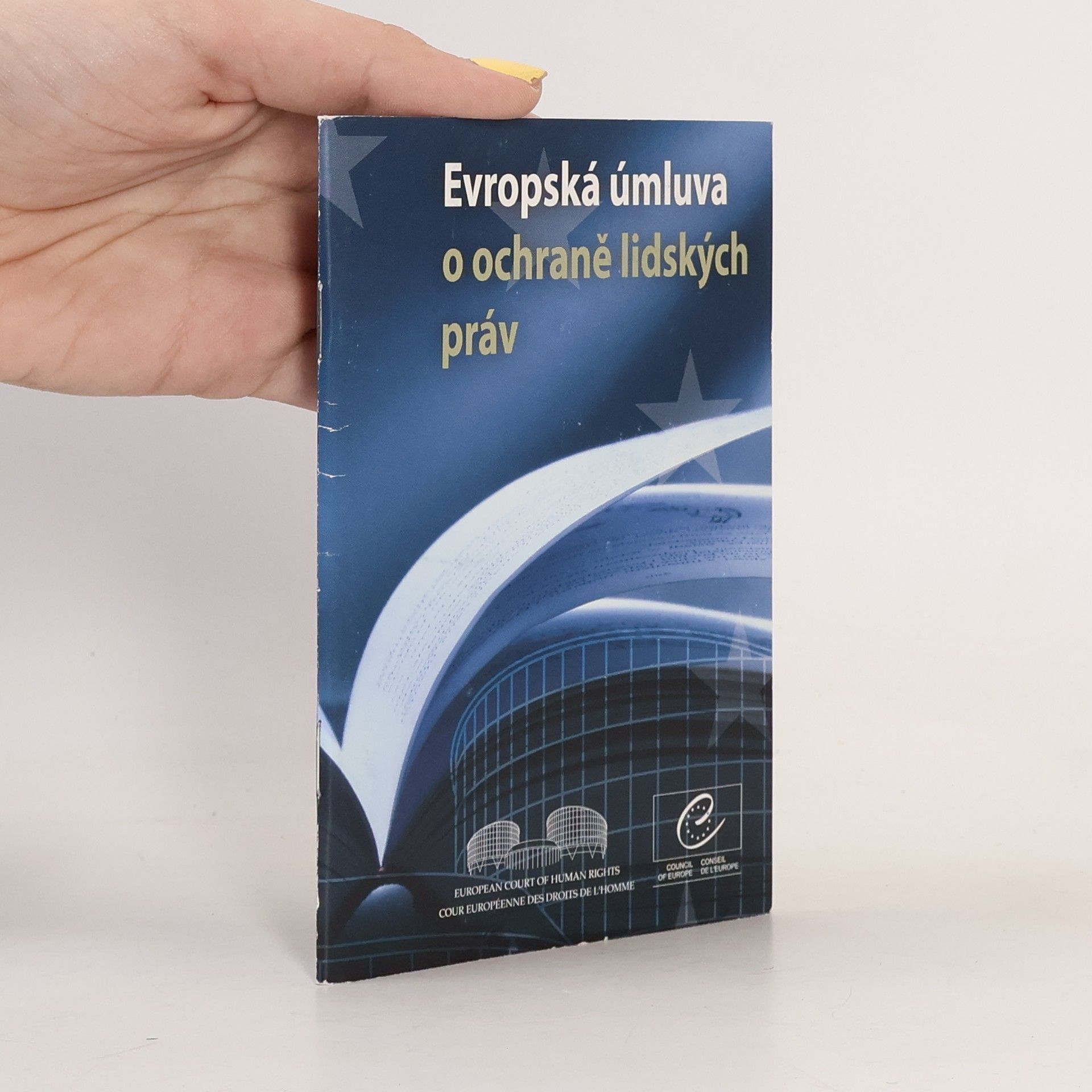 Kolektiv autorů Evropská úmluva o ochraně lidských práv