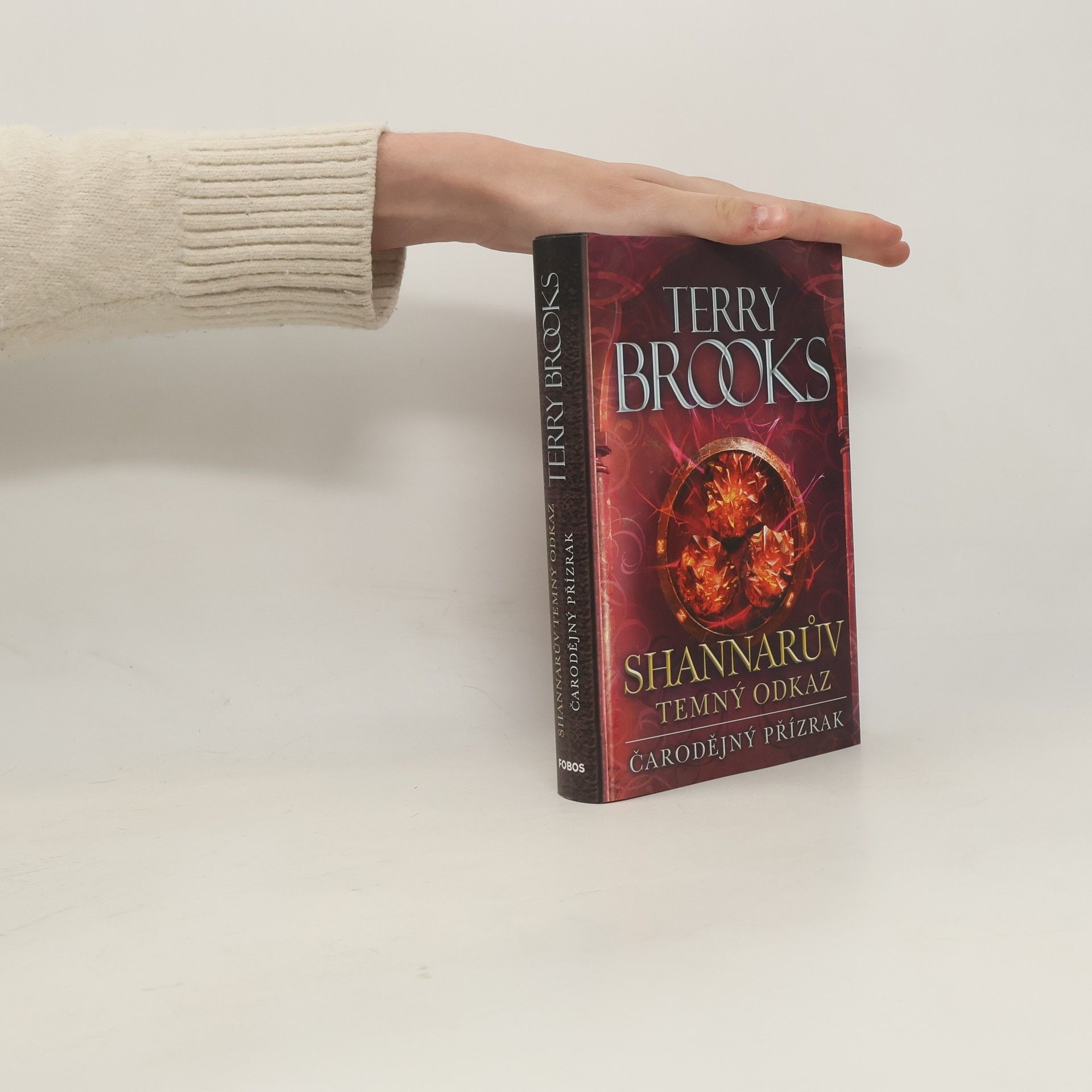 Terry Brooks Čarodějný přízrak