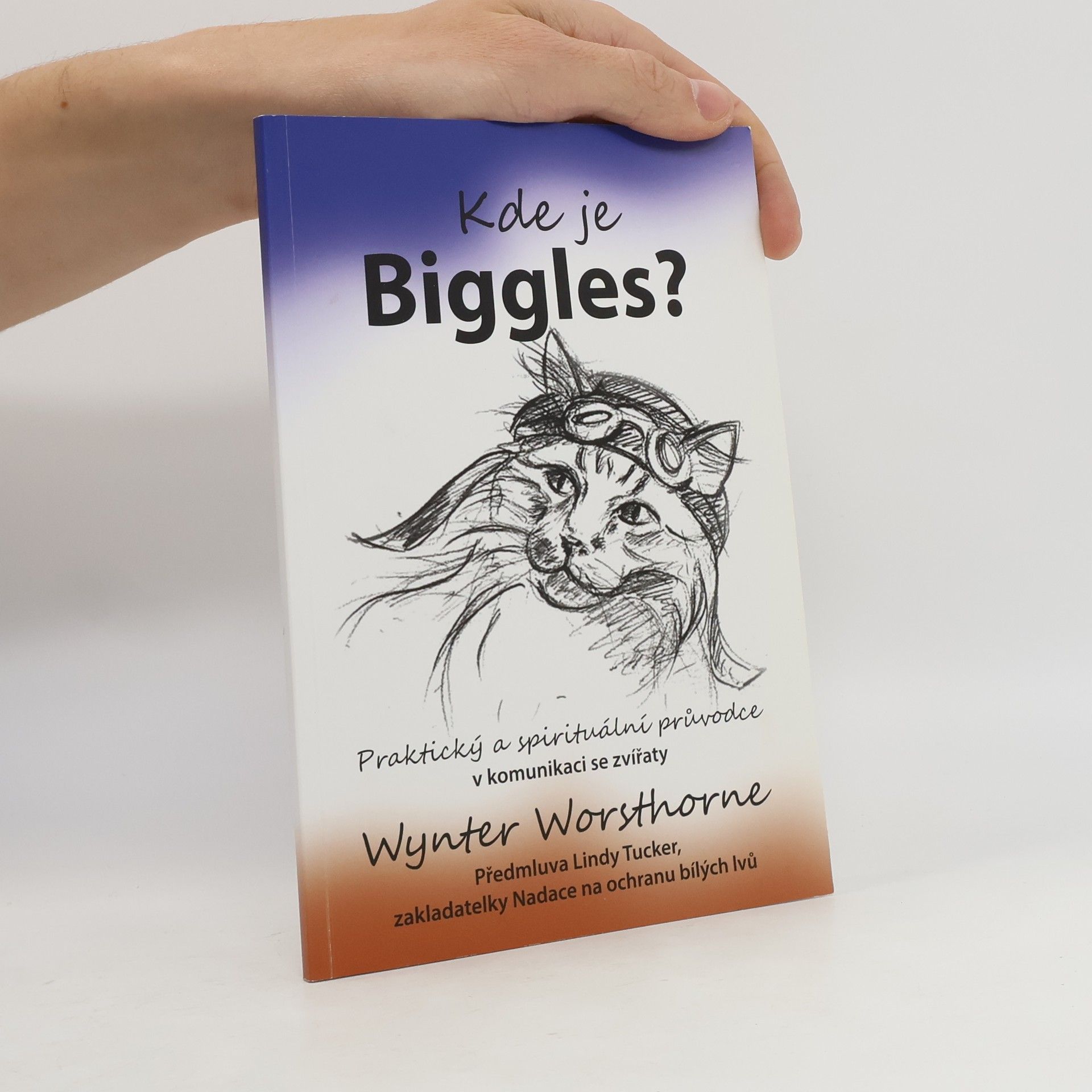 Wynter Worsthorne Kde je Biggles?